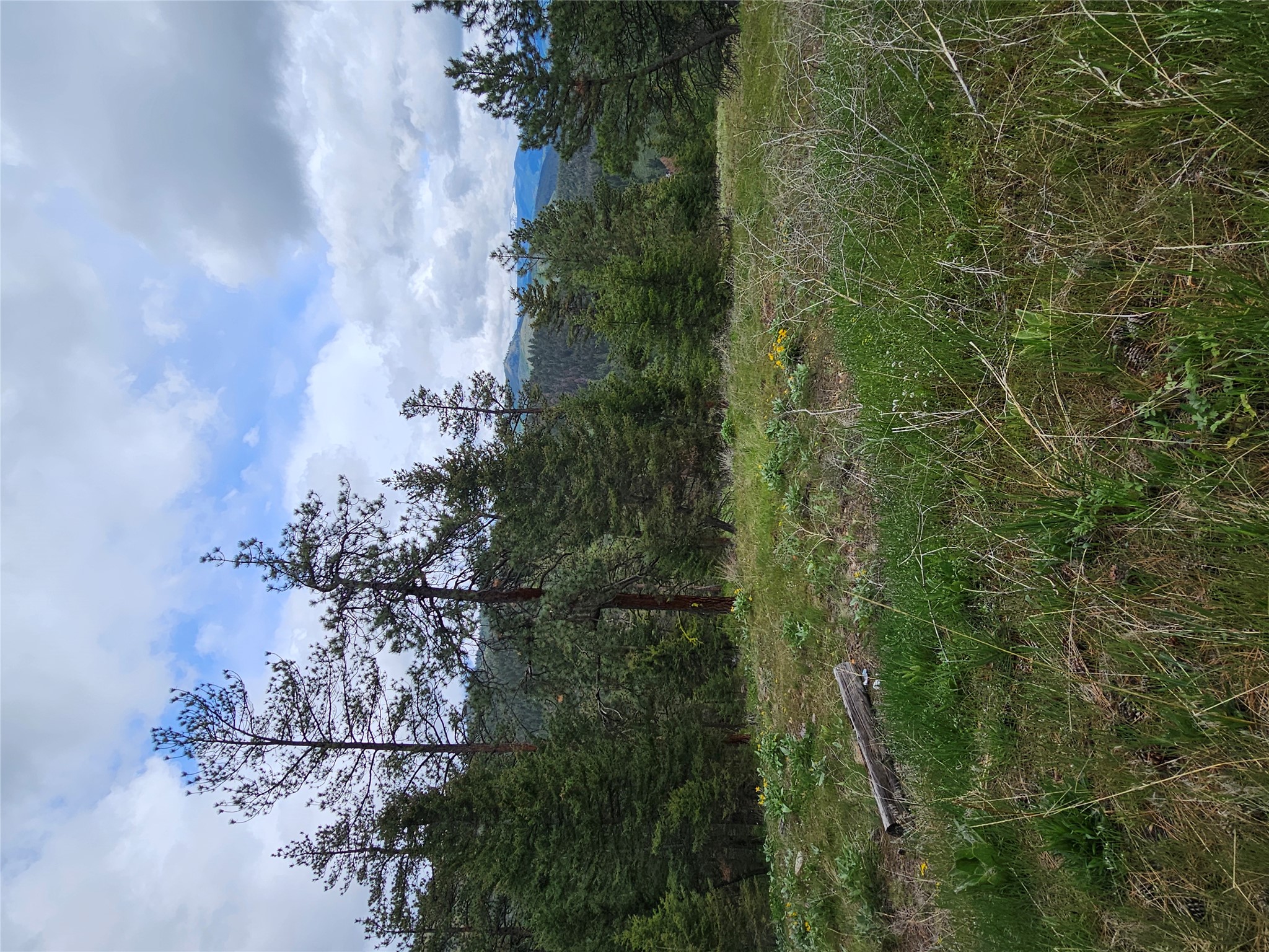 18866 Copper Ridge Trail Property Photo 50
