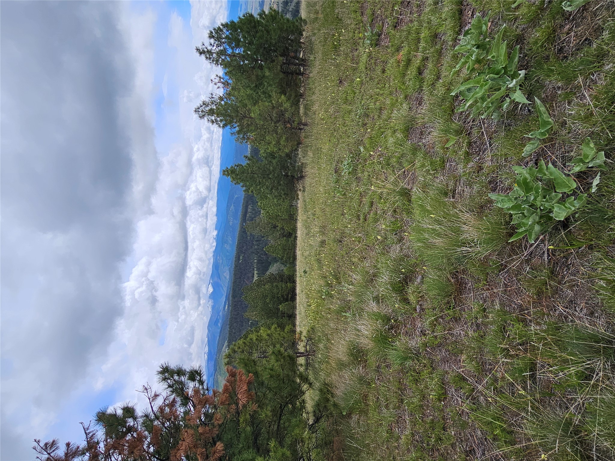 18866 Copper Ridge Trail Property Photo 51