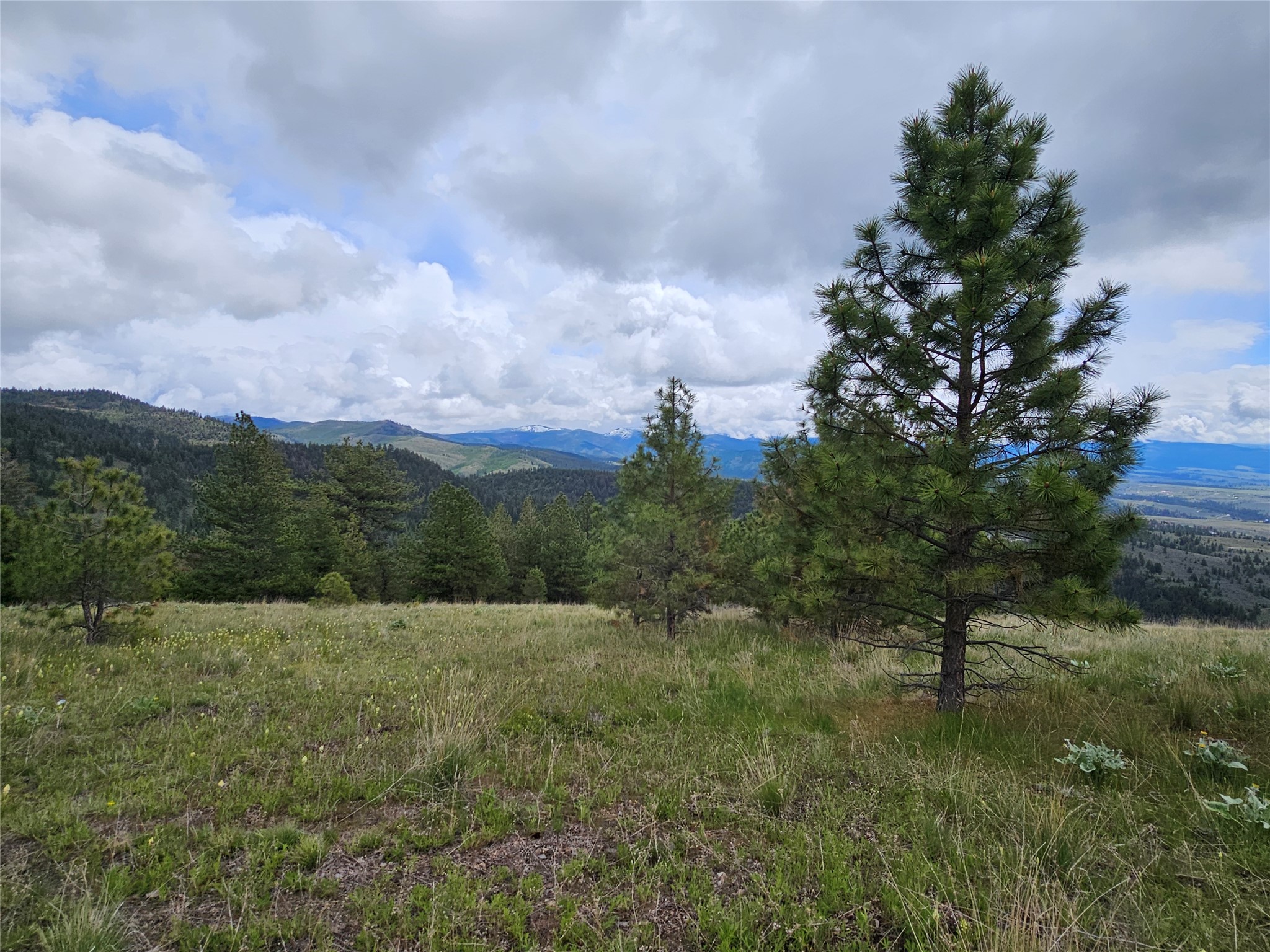 18866 Copper Ridge Trail Property Photo 52