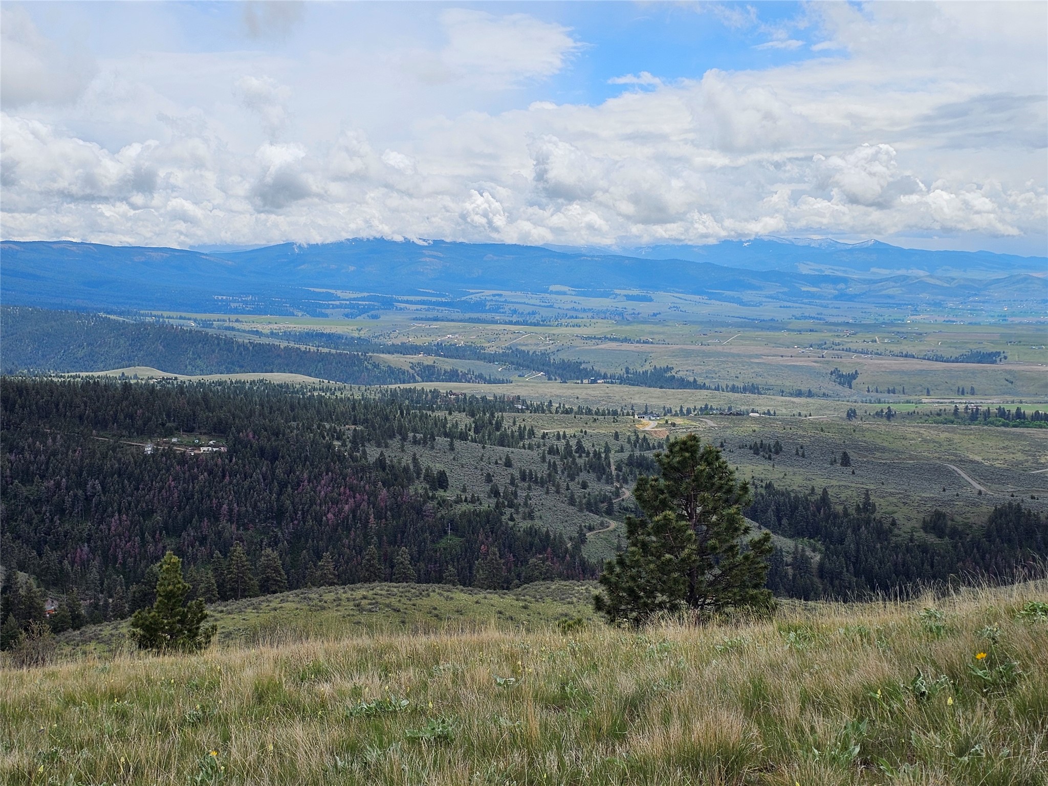 18866 Copper Ridge Trail Property Photo 53