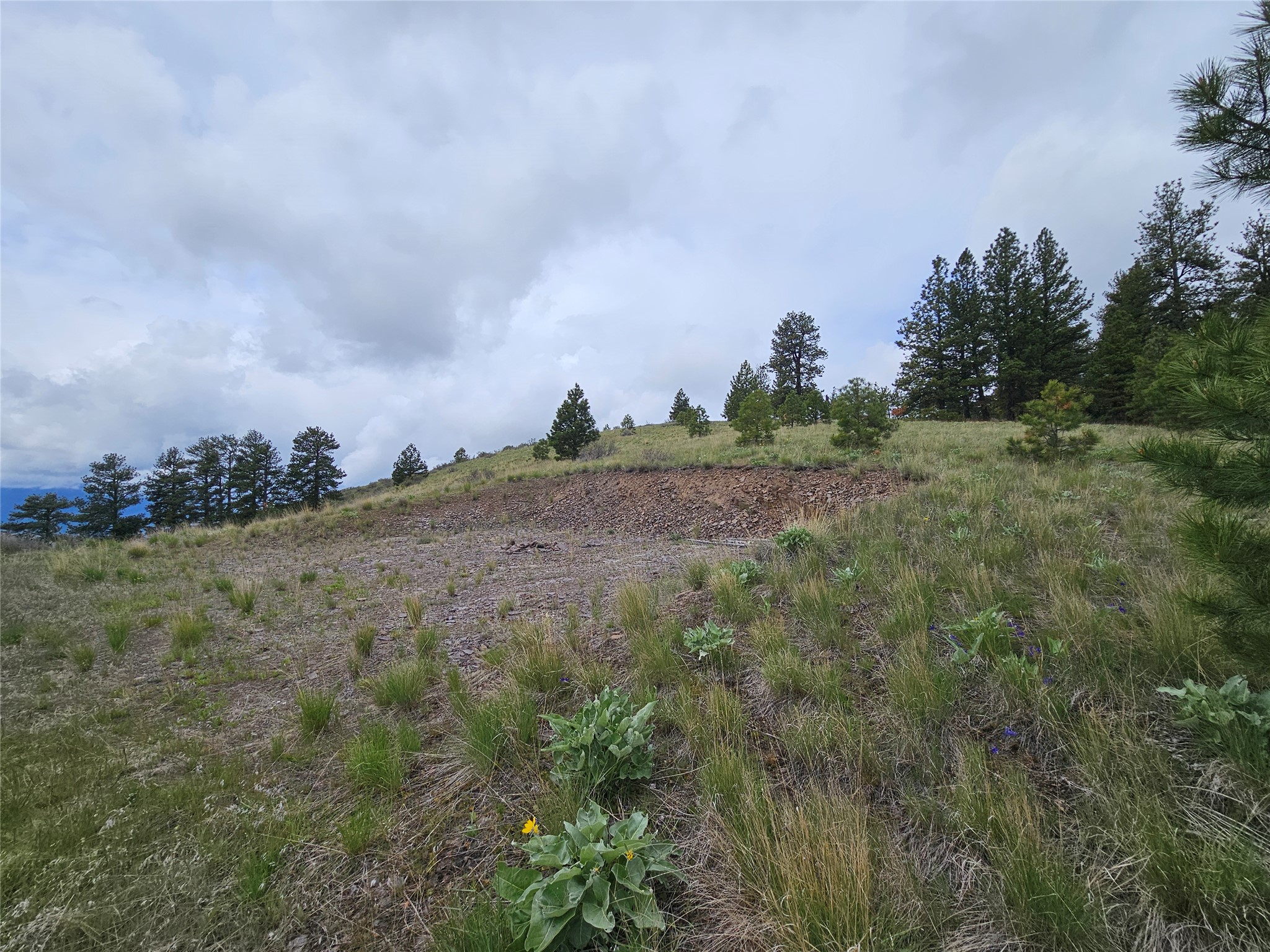 18866 Copper Ridge Trail Property Photo 54