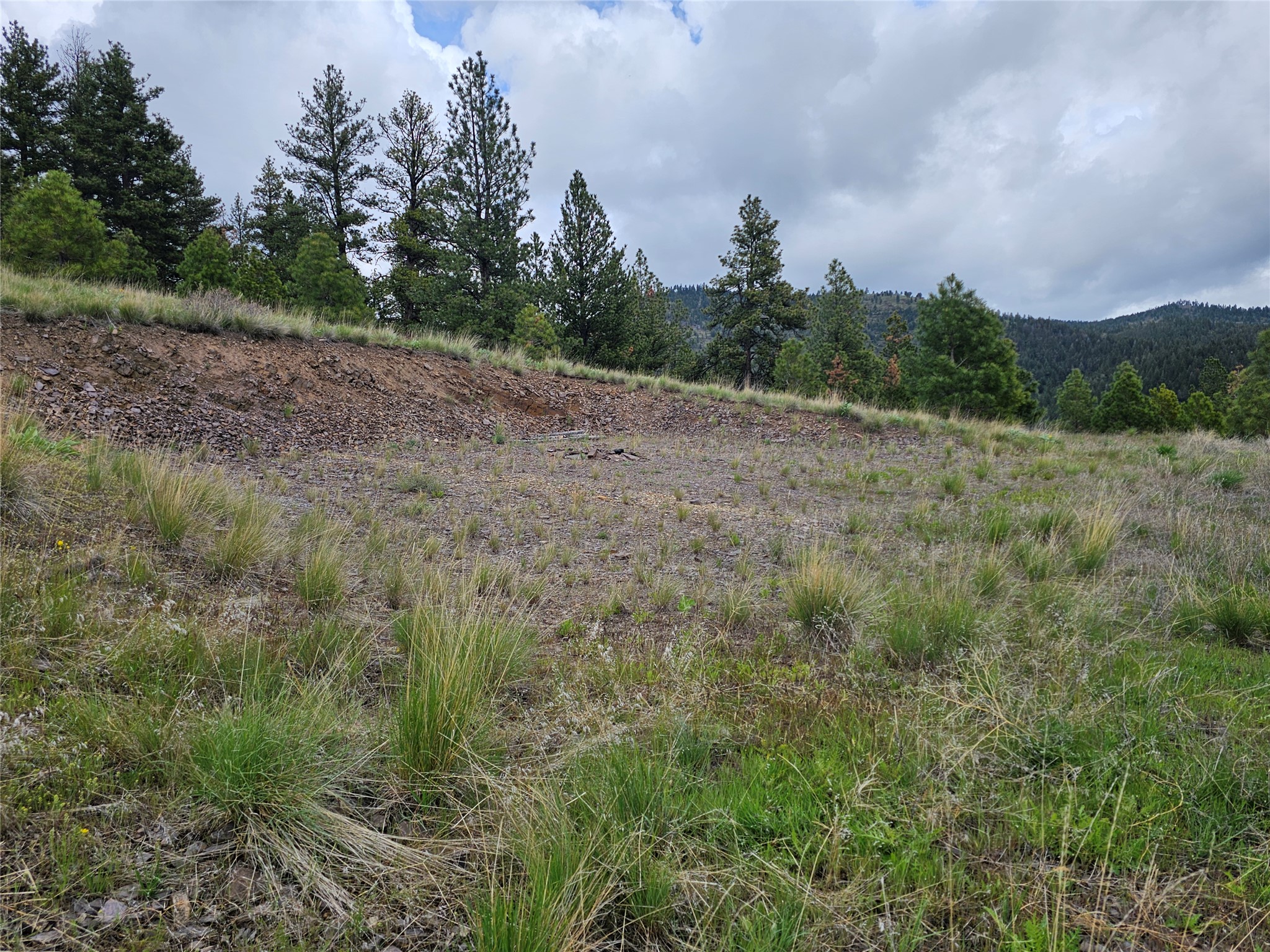 18866 Copper Ridge Trail Property Photo 57