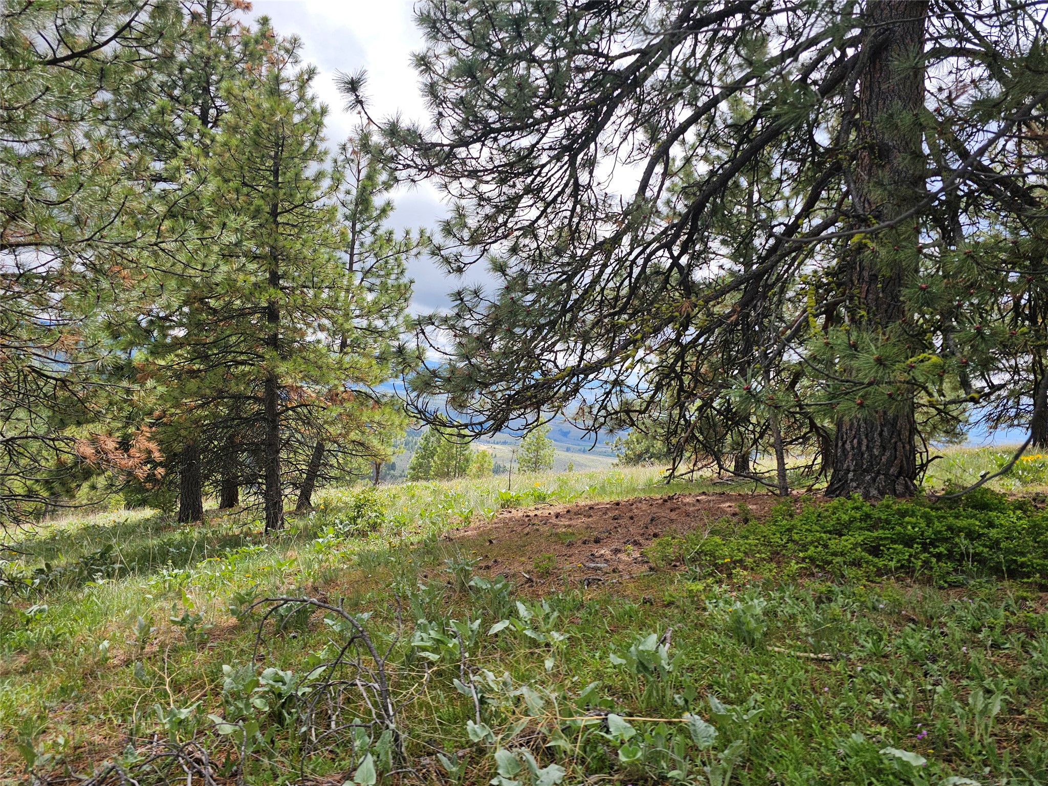 18866 Copper Ridge Trail Property Photo 58