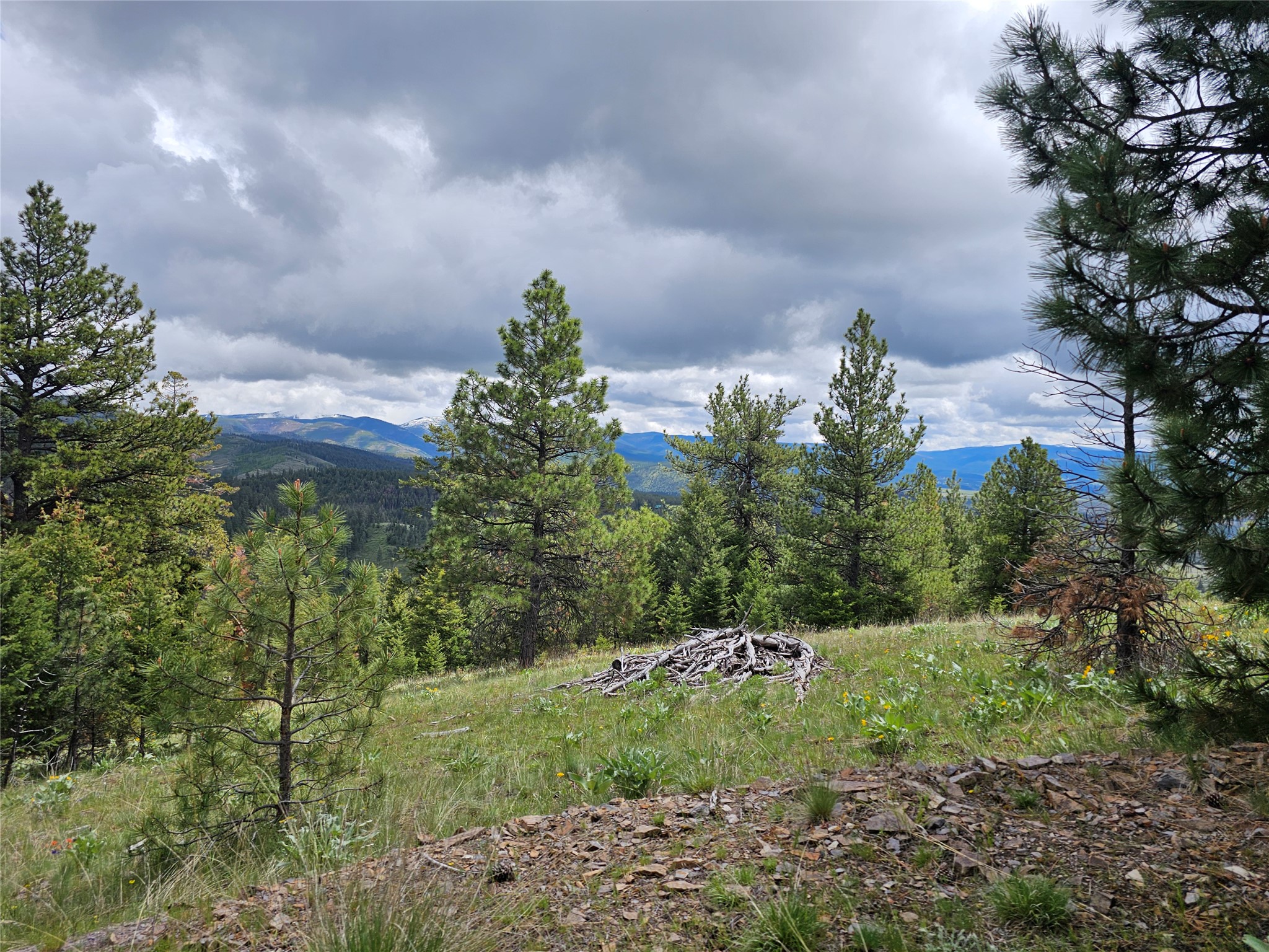 18866 Copper Ridge Trail Property Photo 59