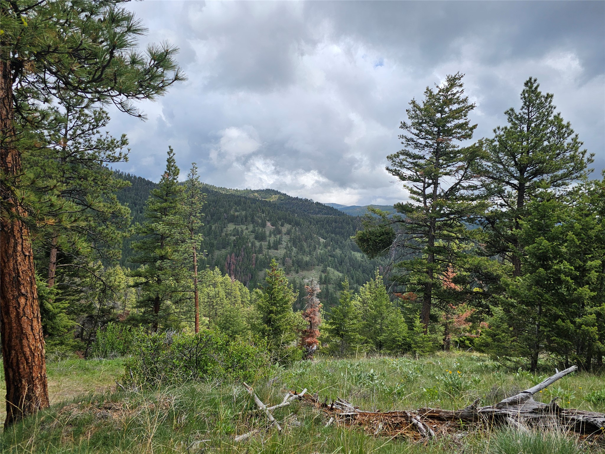 18866 Copper Ridge Trail Property Photo 60