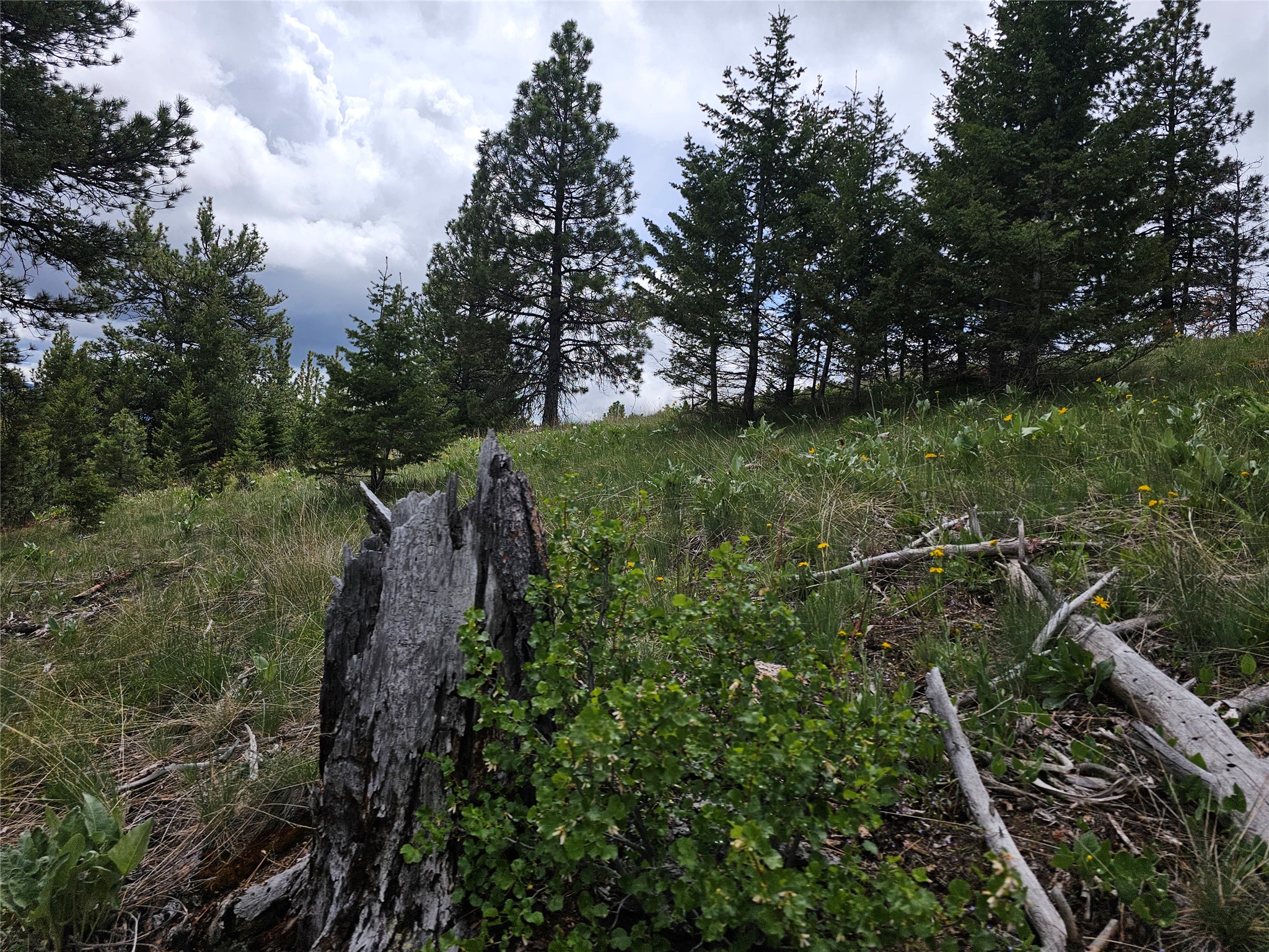 18866 Copper Ridge Trail Property Photo 61