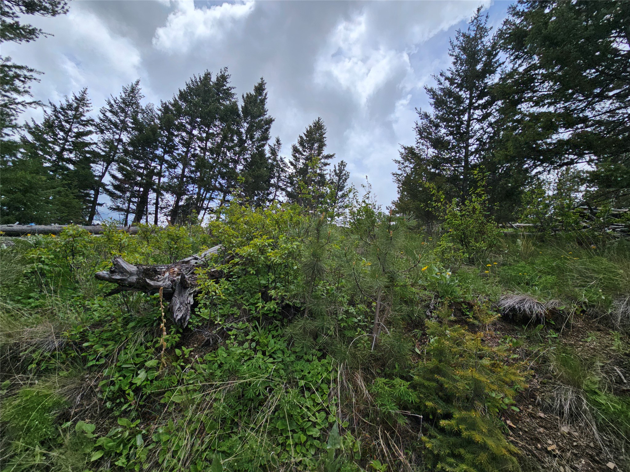 18866 Copper Ridge Trail Property Photo 63