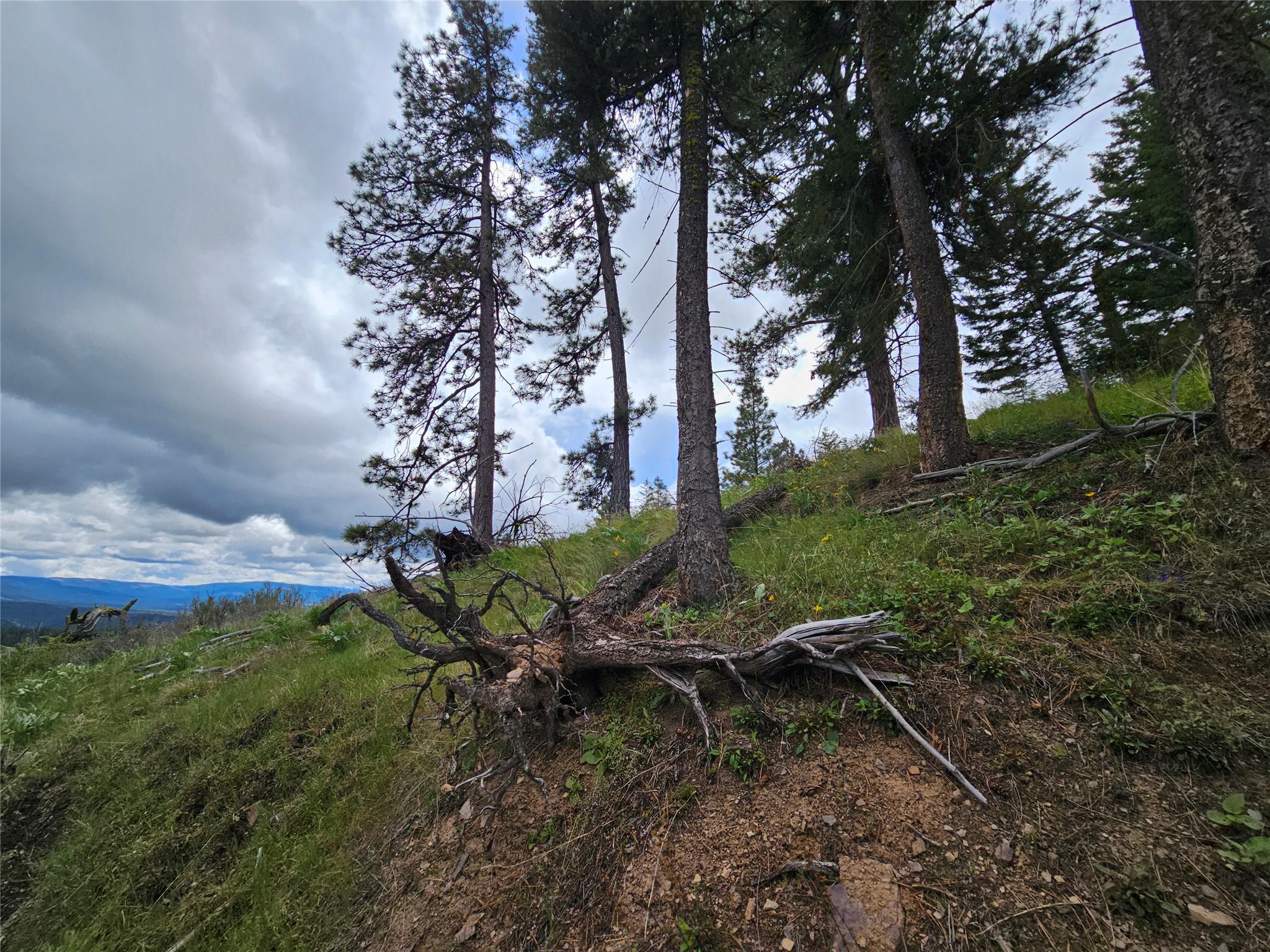 18866 Copper Ridge Trail Property Photo 64