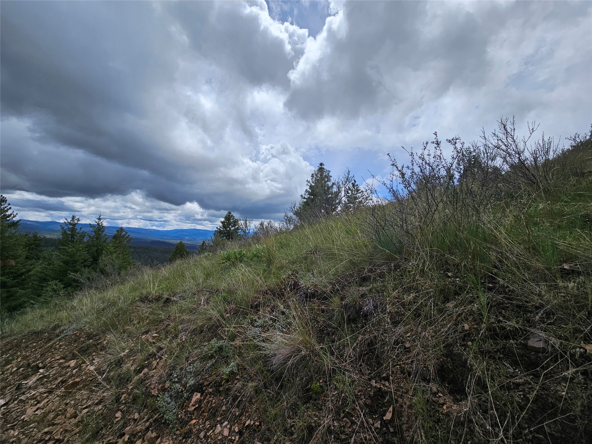 18866 Copper Ridge Trail Property Photo 65