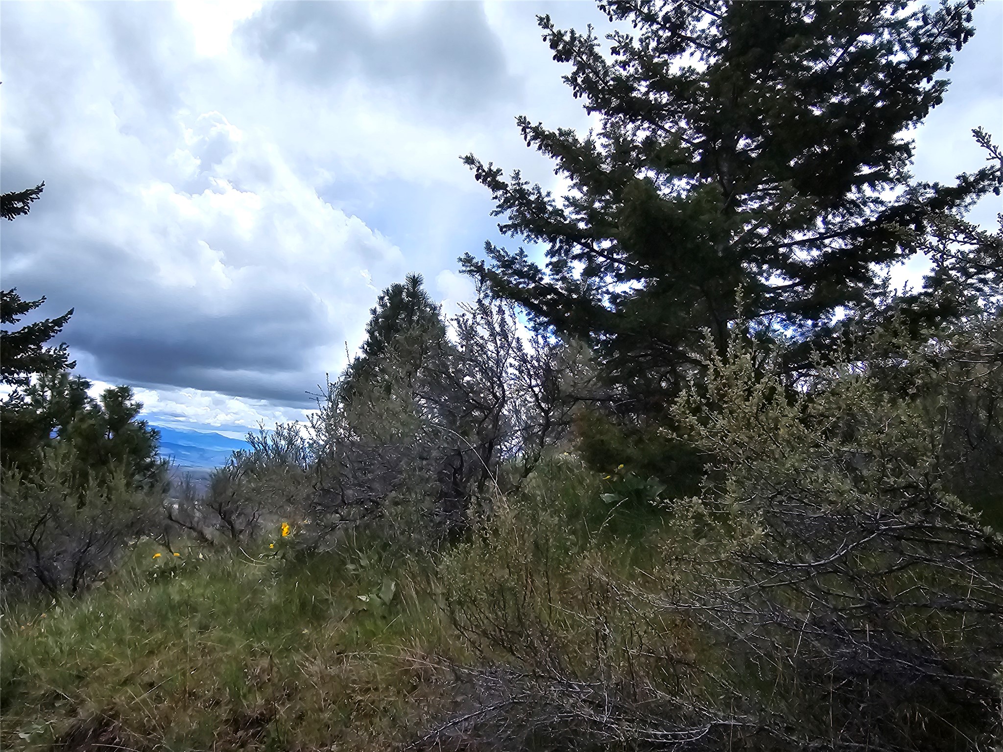 18866 Copper Ridge Trail Property Photo 66