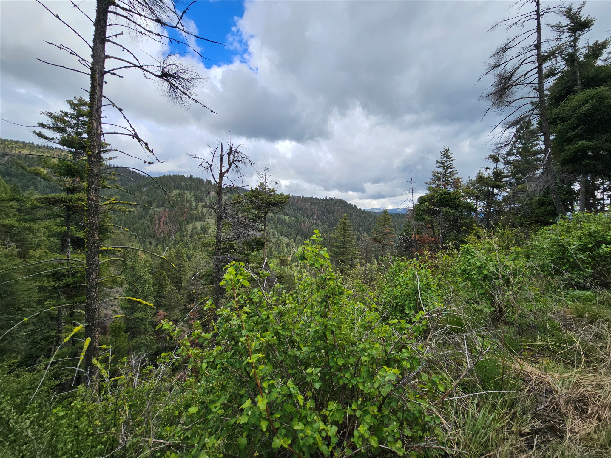 18866 Copper Ridge Trail Property Photo 69