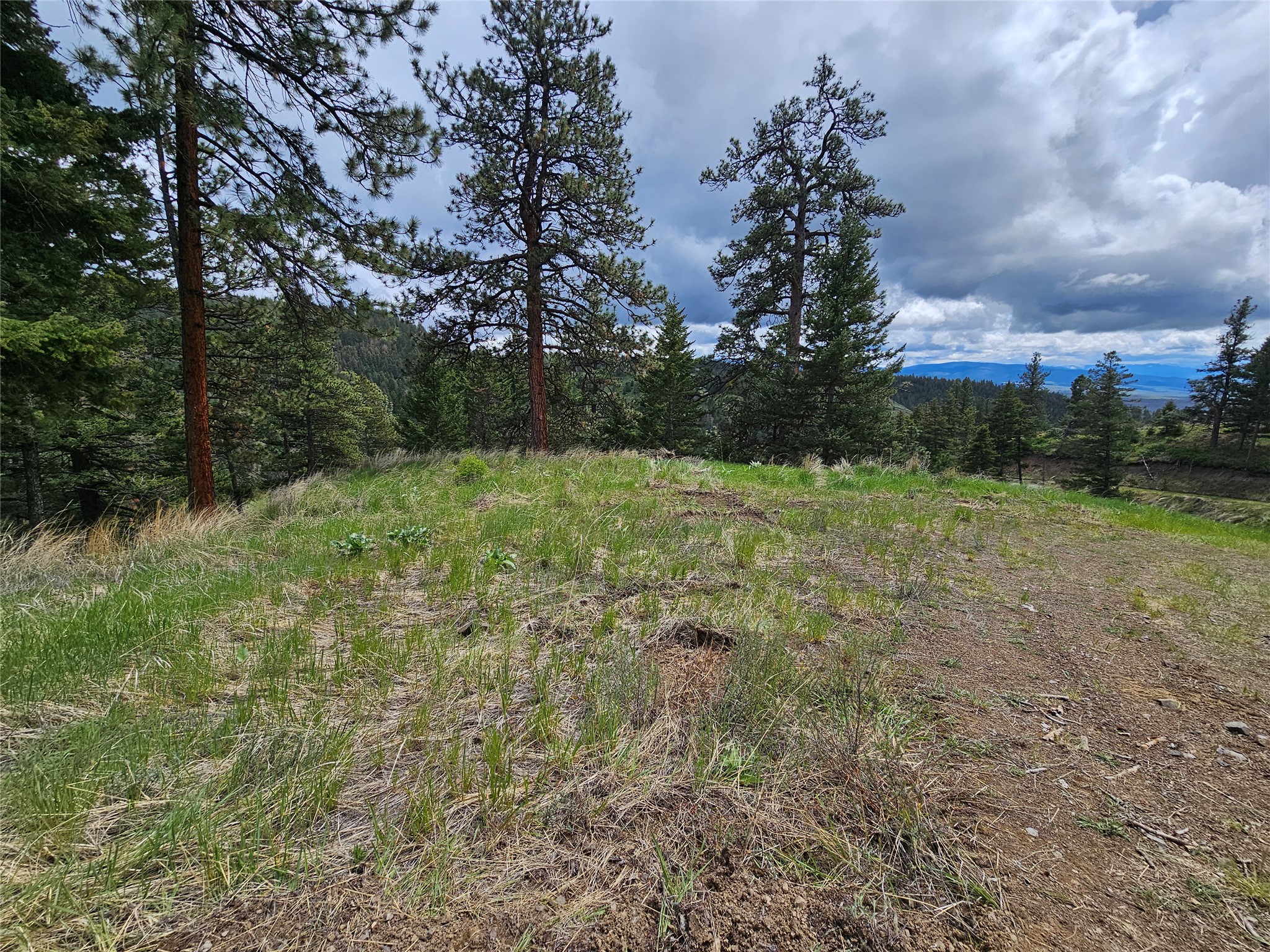 18866 Copper Ridge Trail Property Photo 70