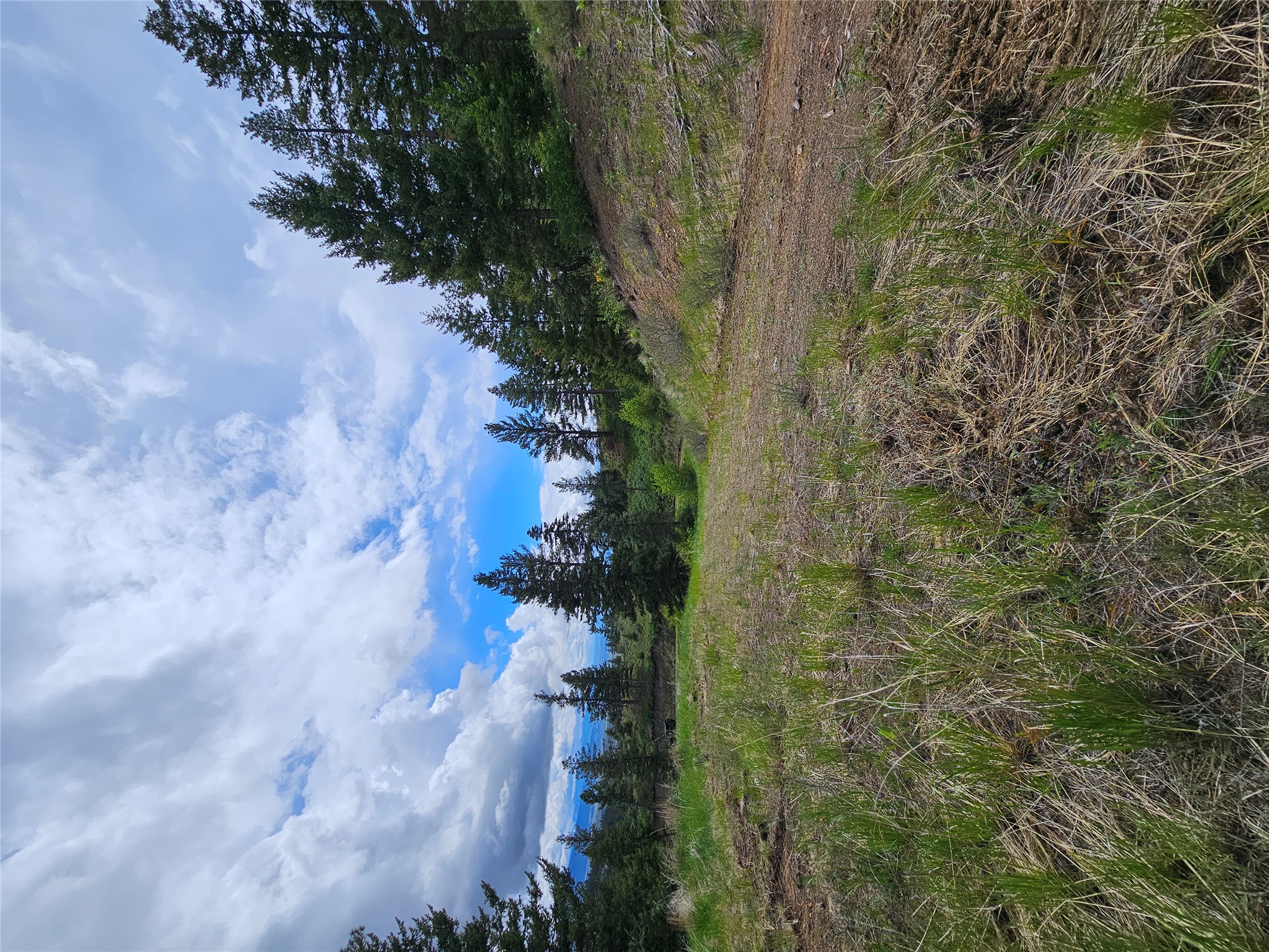 18866 Copper Ridge Trail Property Photo 71
