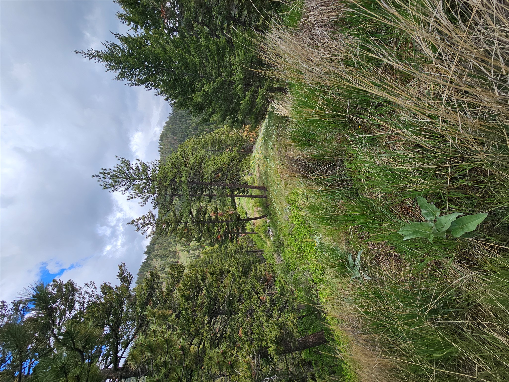 18866 Copper Ridge Trail Property Photo 72