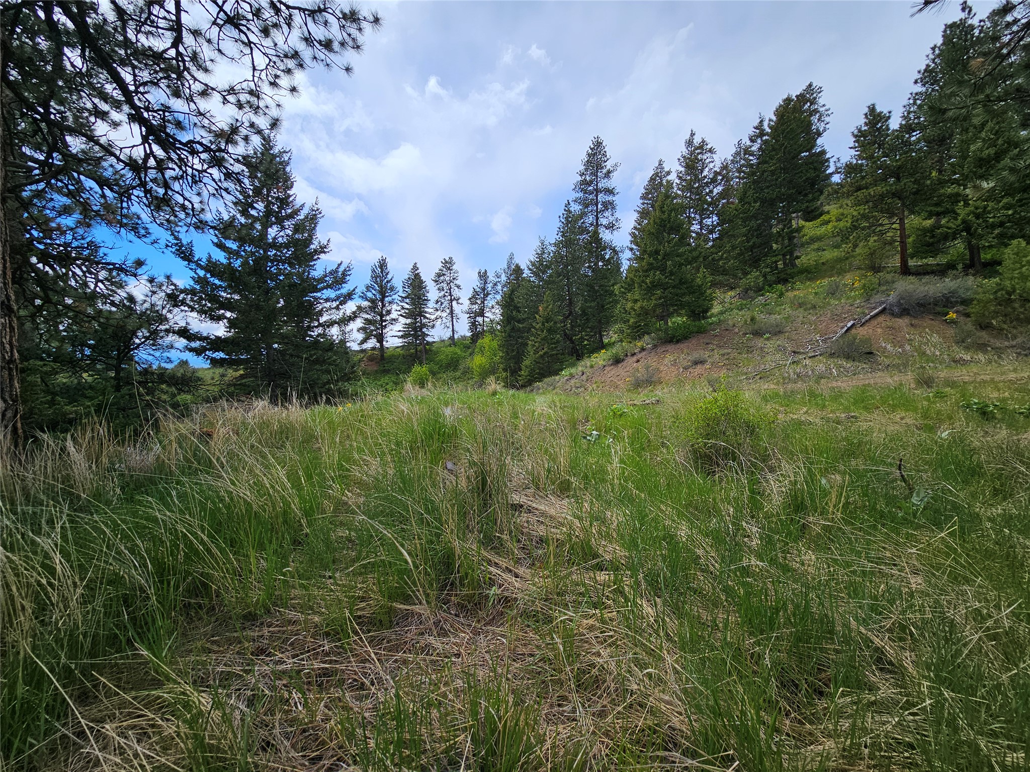 18866 Copper Ridge Trail Property Photo 73