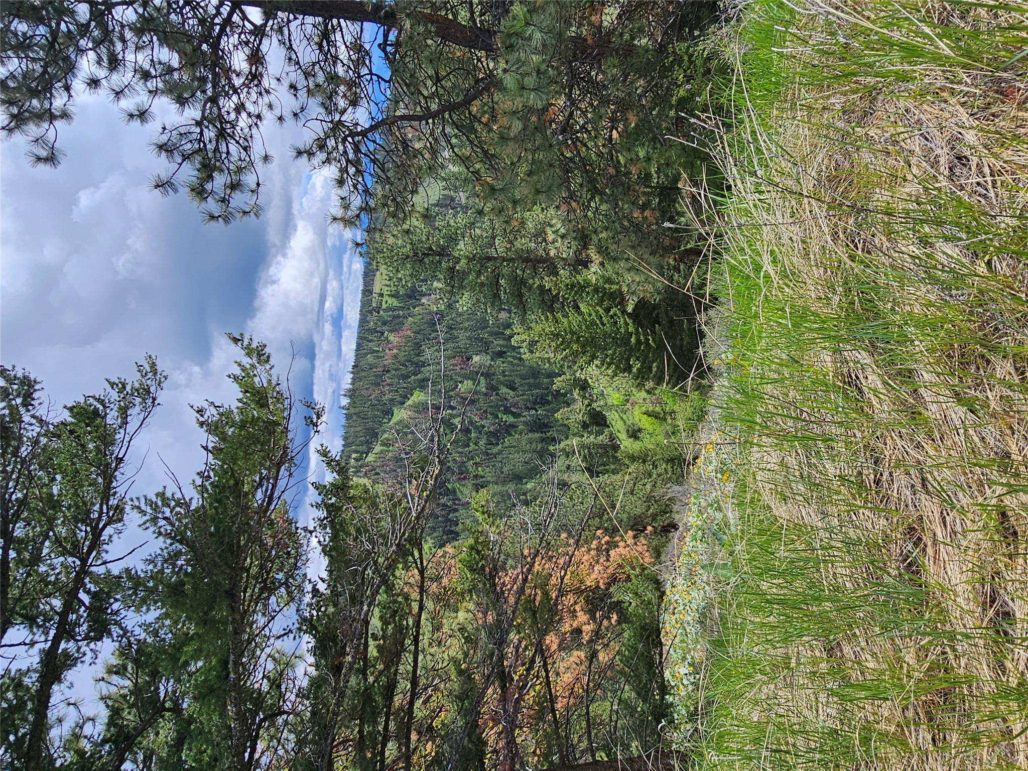 18866 Copper Ridge Trail Property Photo 75