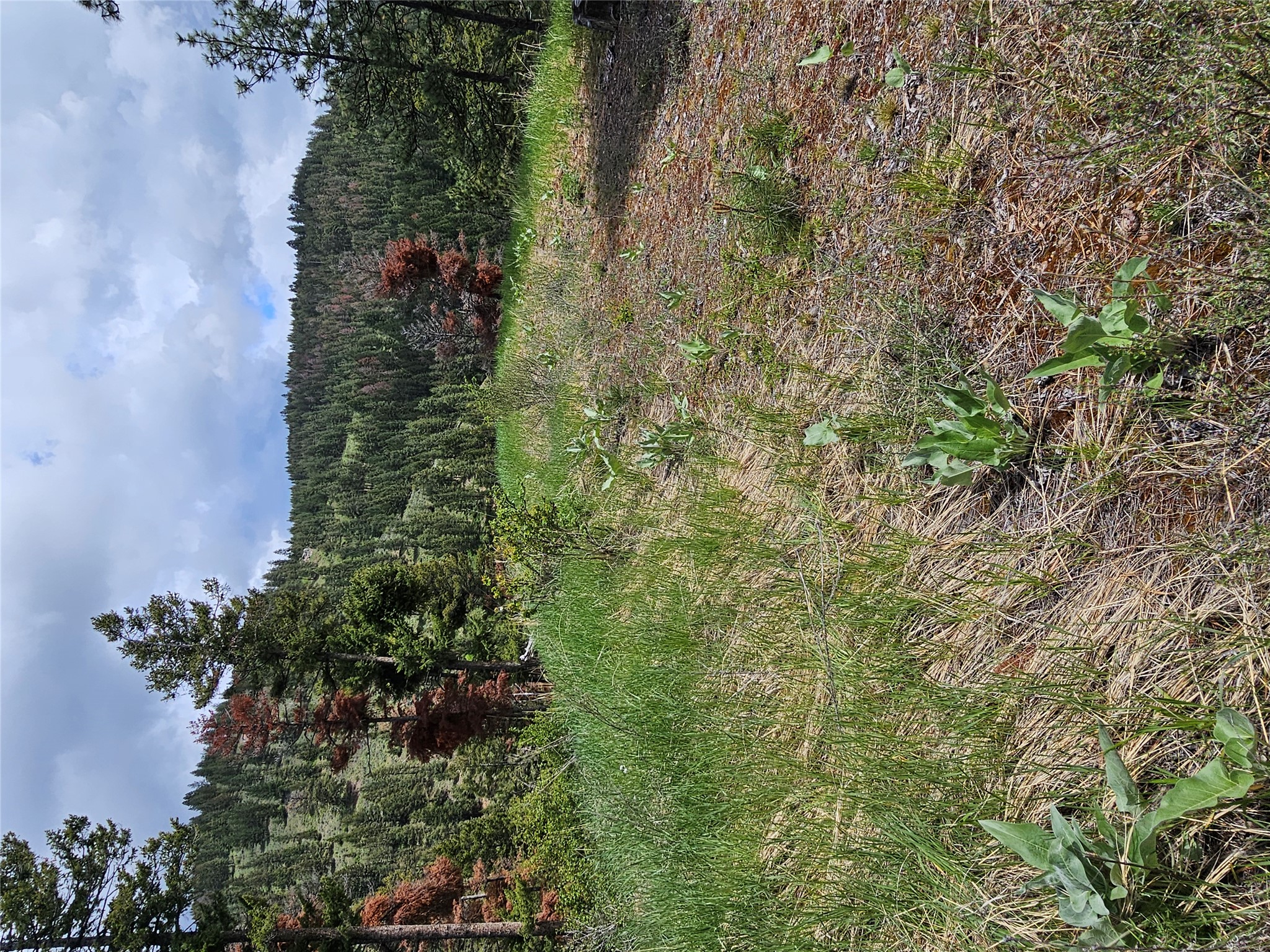 18866 Copper Ridge Trail Property Photo 76