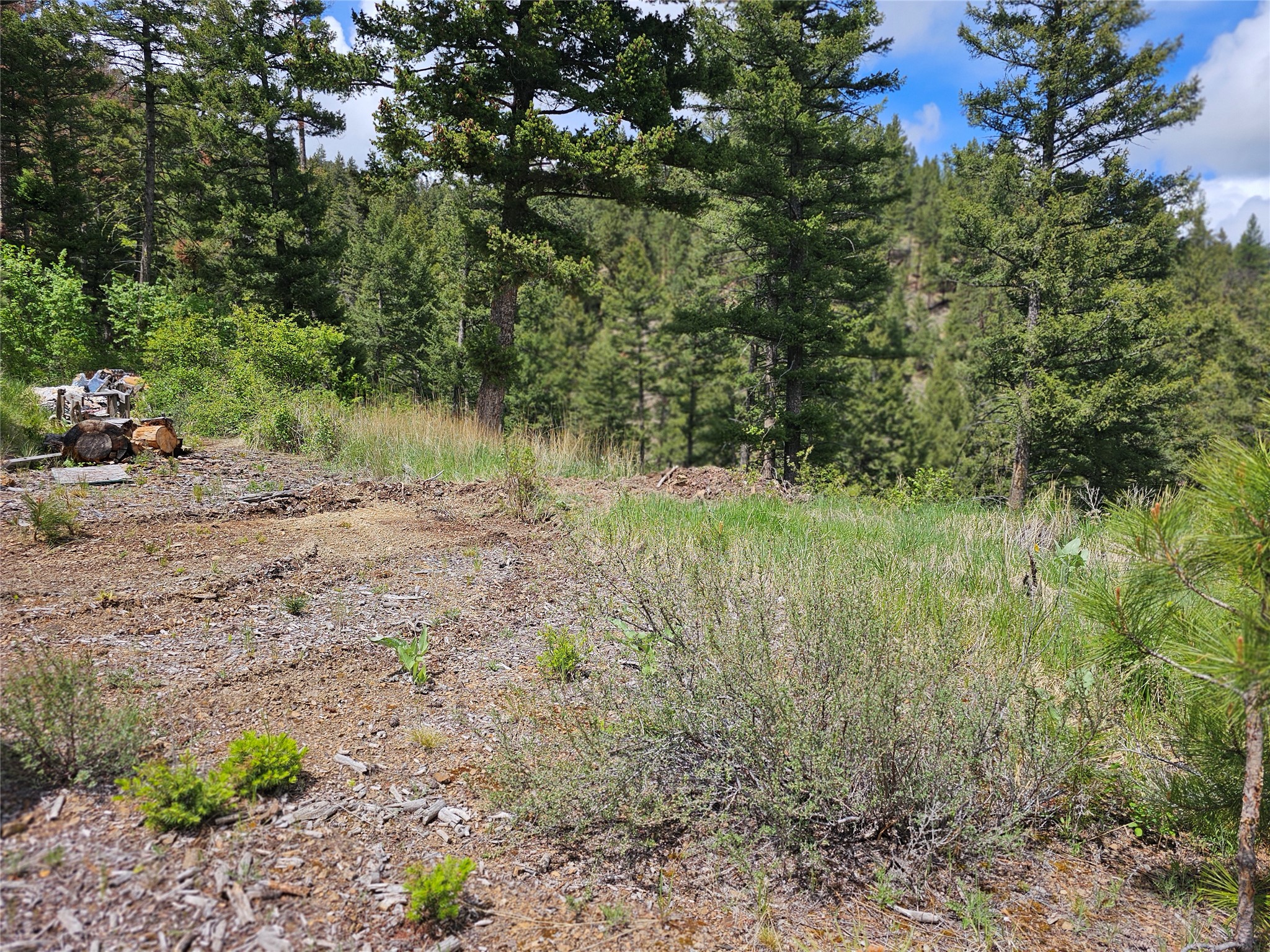 18866 Copper Ridge Trail Property Photo 78