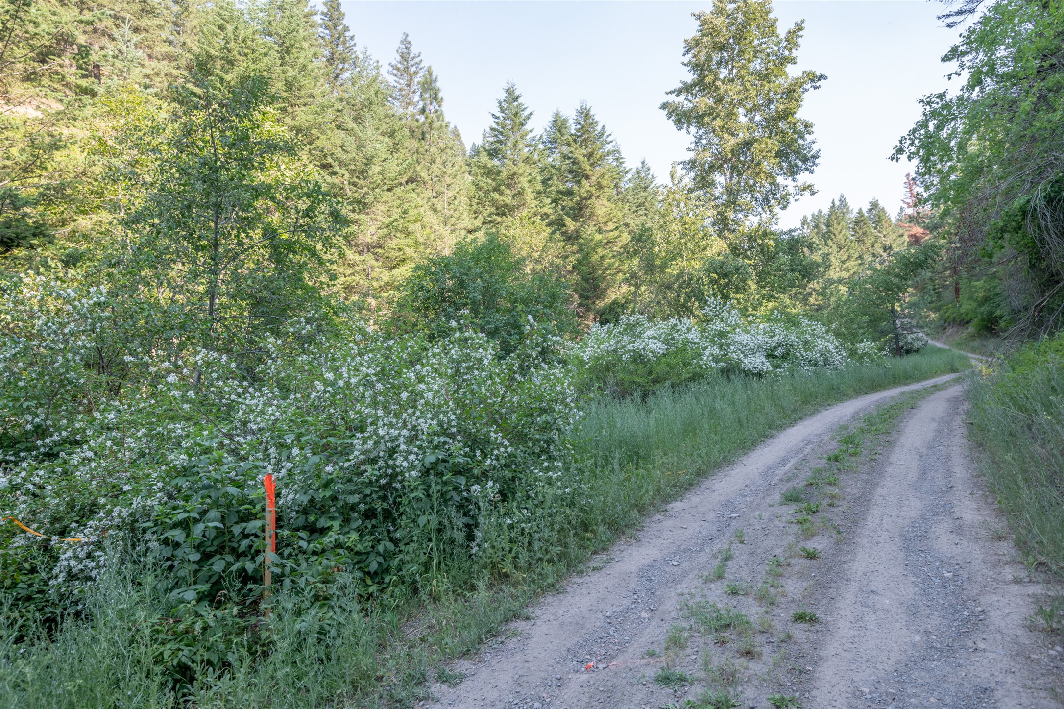 18866 Copper Ridge Trail Property Photo 85