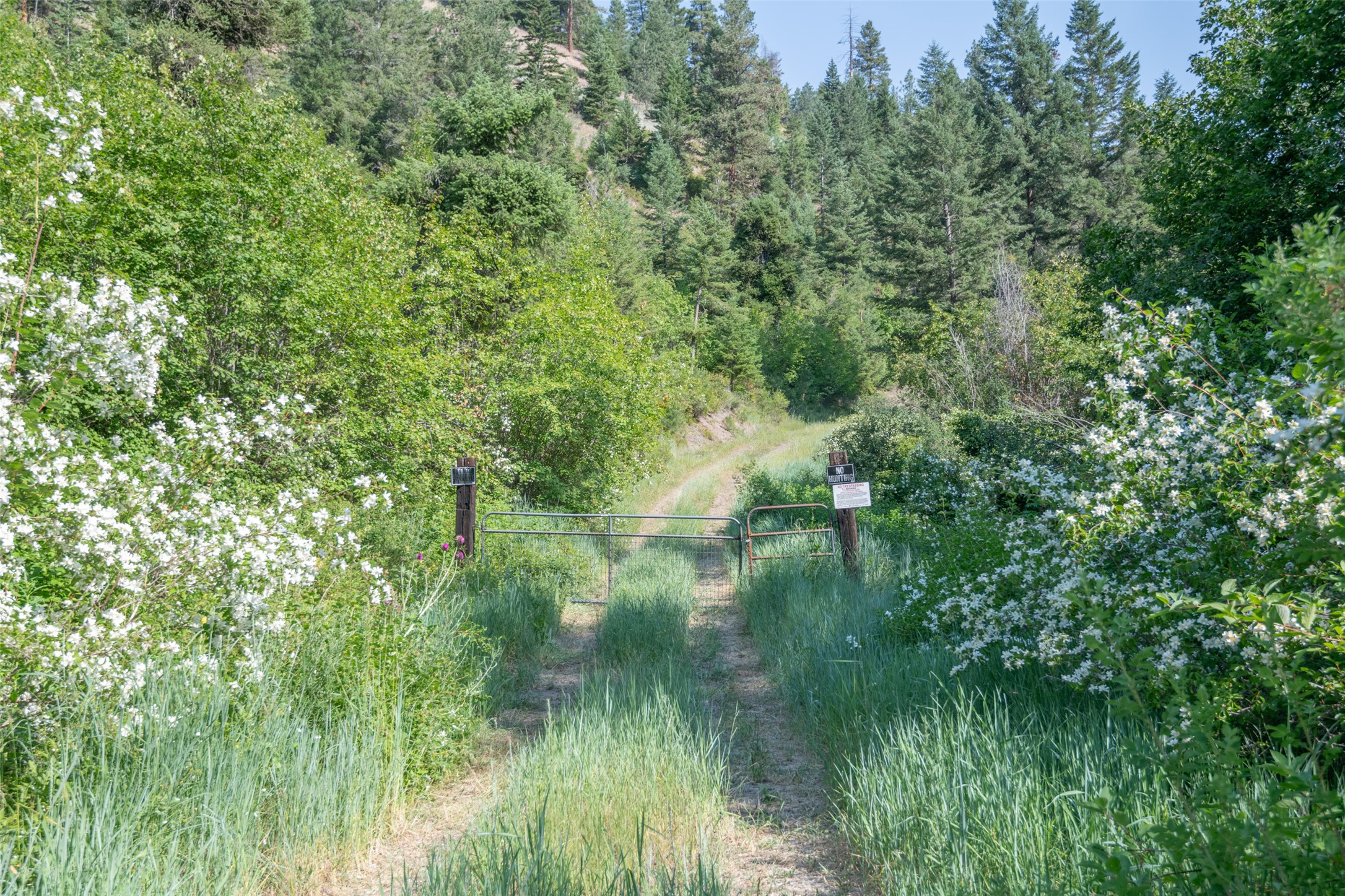 18866 Copper Ridge Trail Property Photo 86