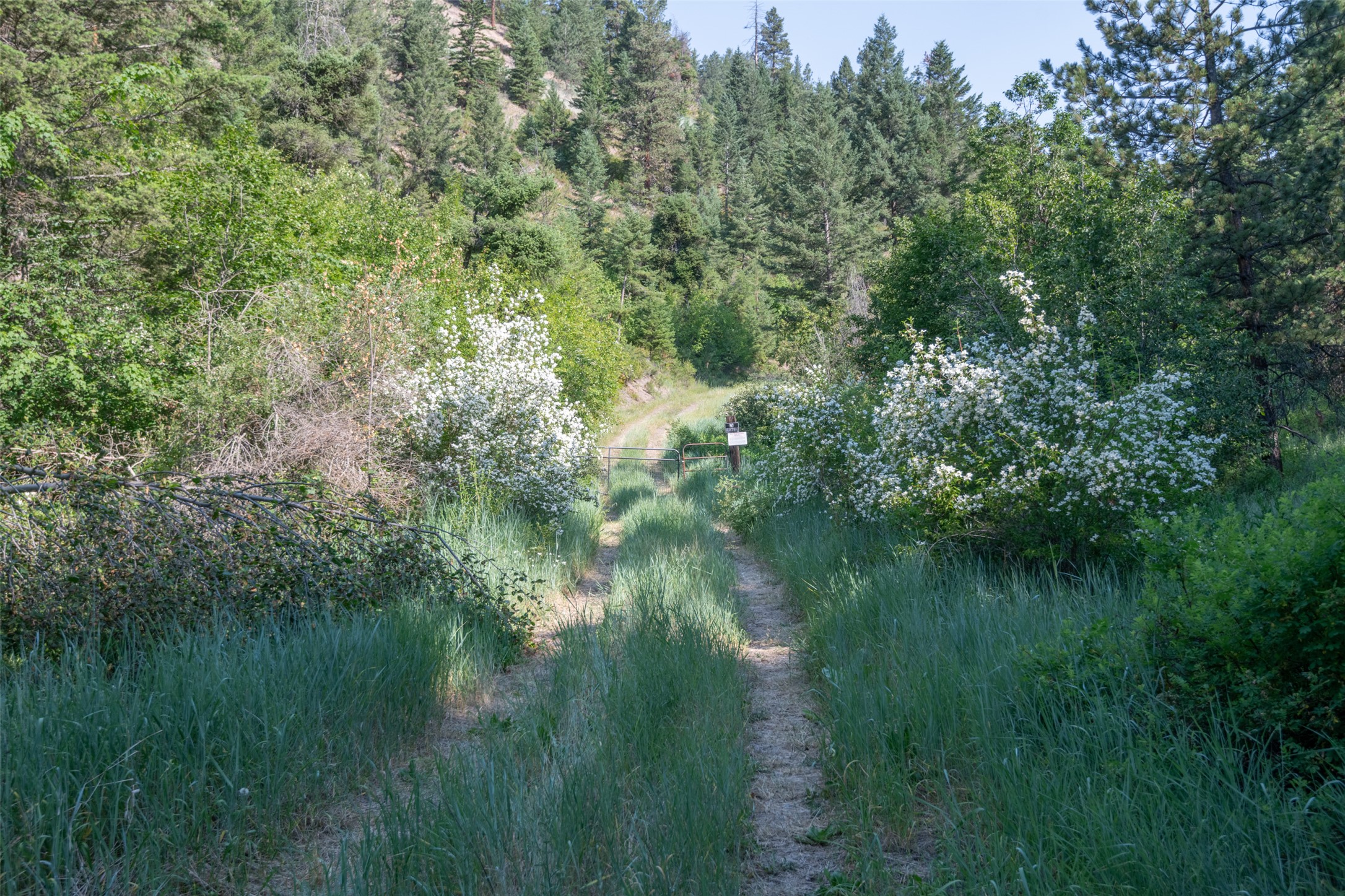 18866 Copper Ridge Trail Property Photo 87