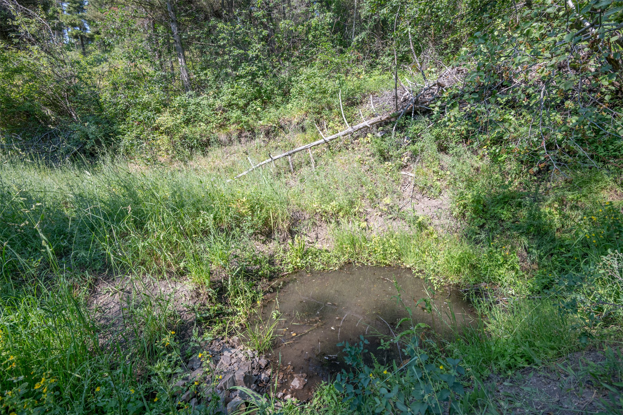 18866 Copper Ridge Trail Property Photo 88