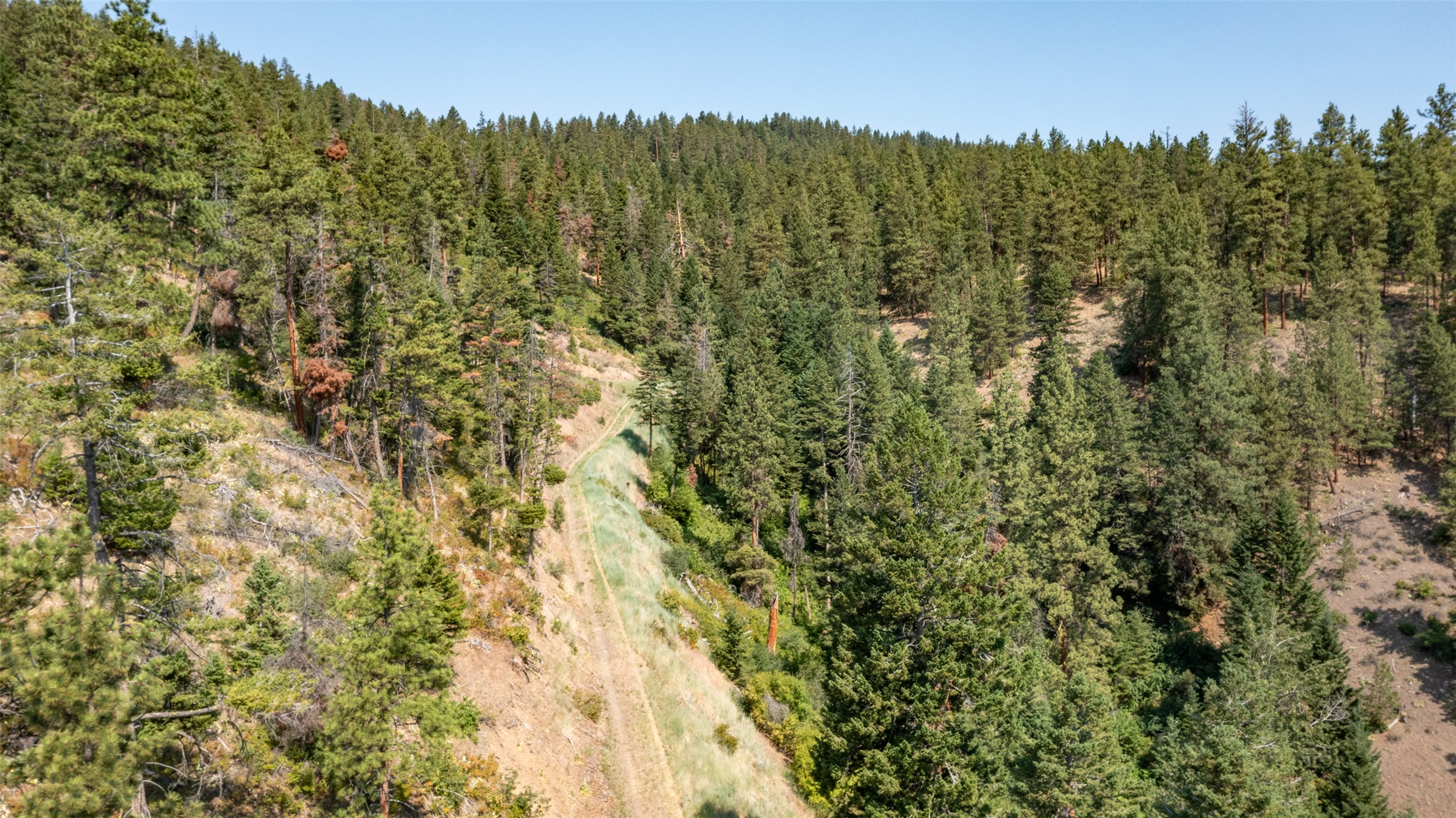 18866 Copper Ridge Trail Property Photo 96