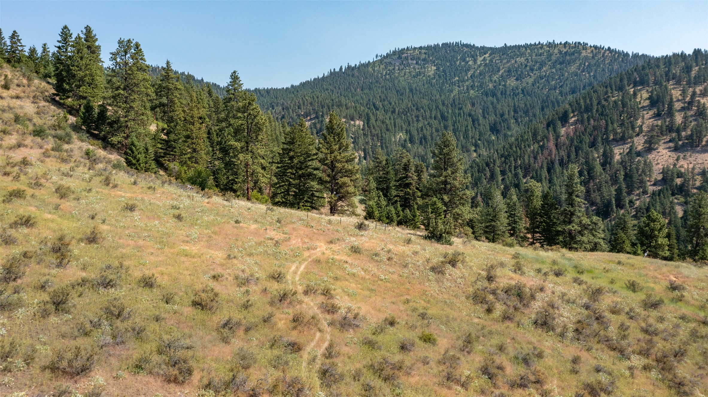 18866 Copper Ridge Trail Property Photo 104