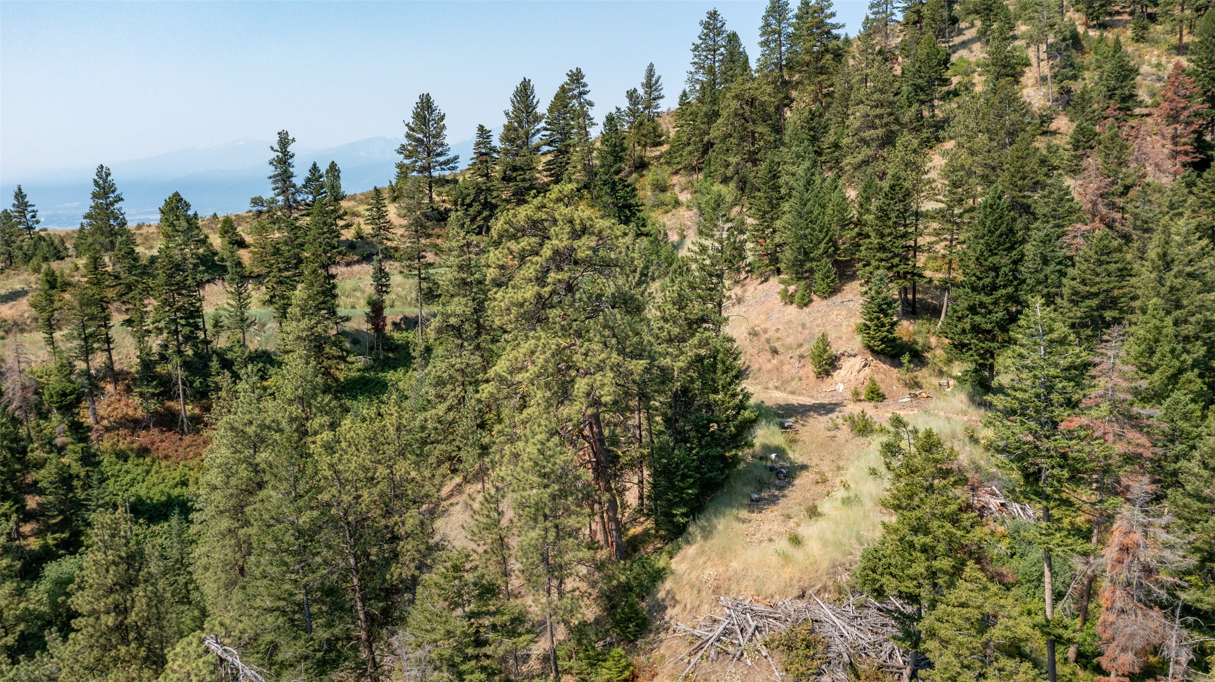 18866 Copper Ridge Trail Property Photo 105