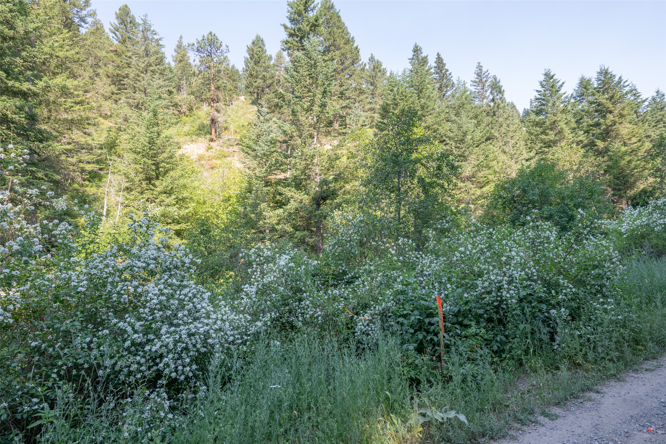18866 Copper Ridge Trail Property Photo 107