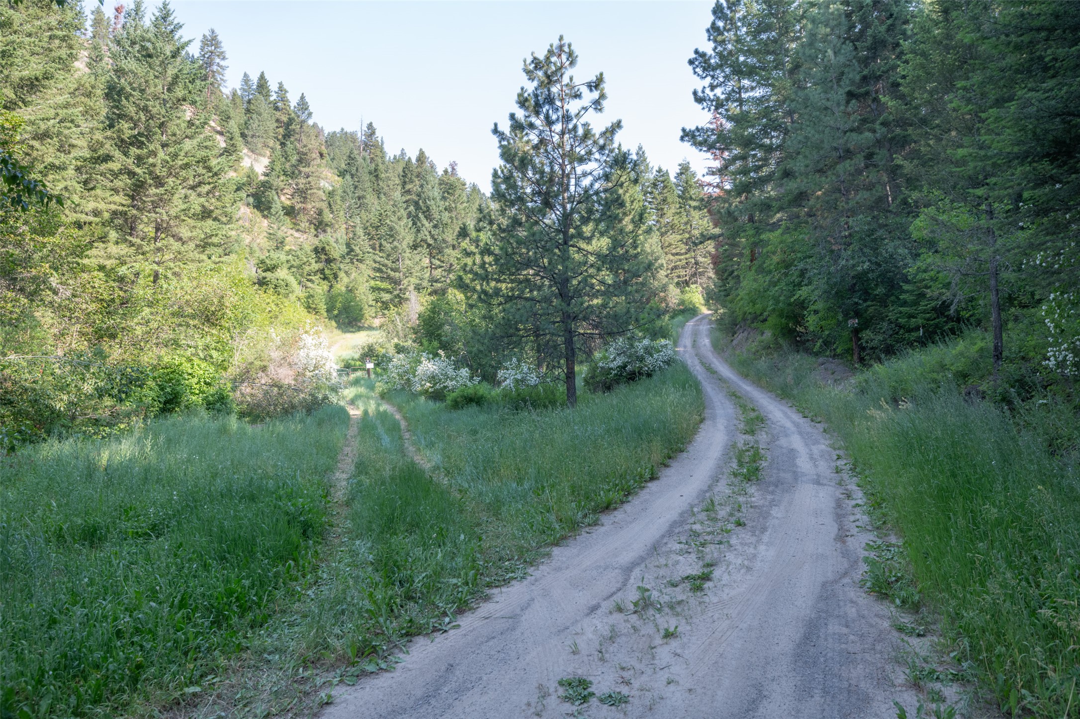 18866 Copper Ridge Trail Property Photo 108