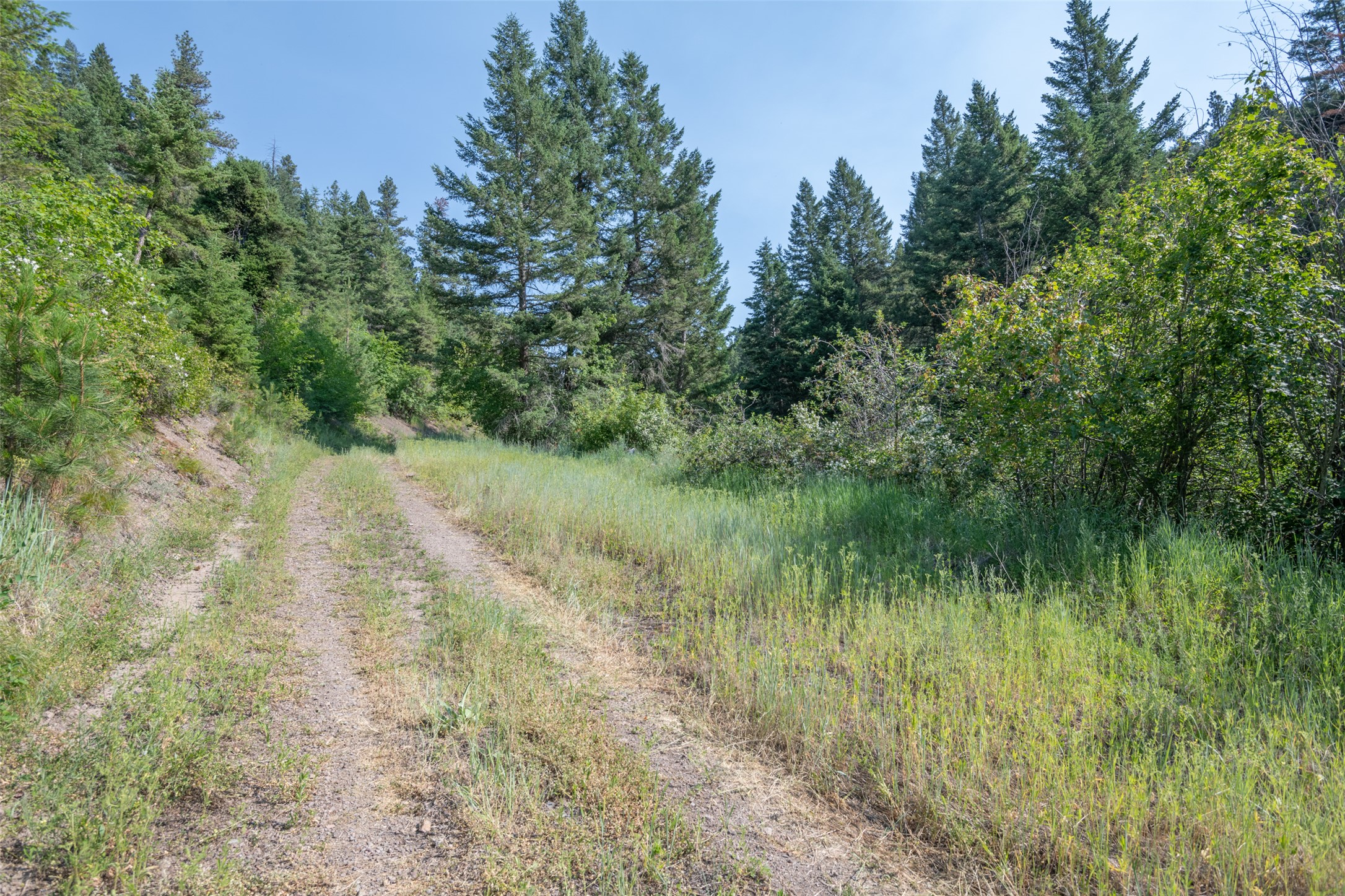 18866 Copper Ridge Trail Property Photo 110