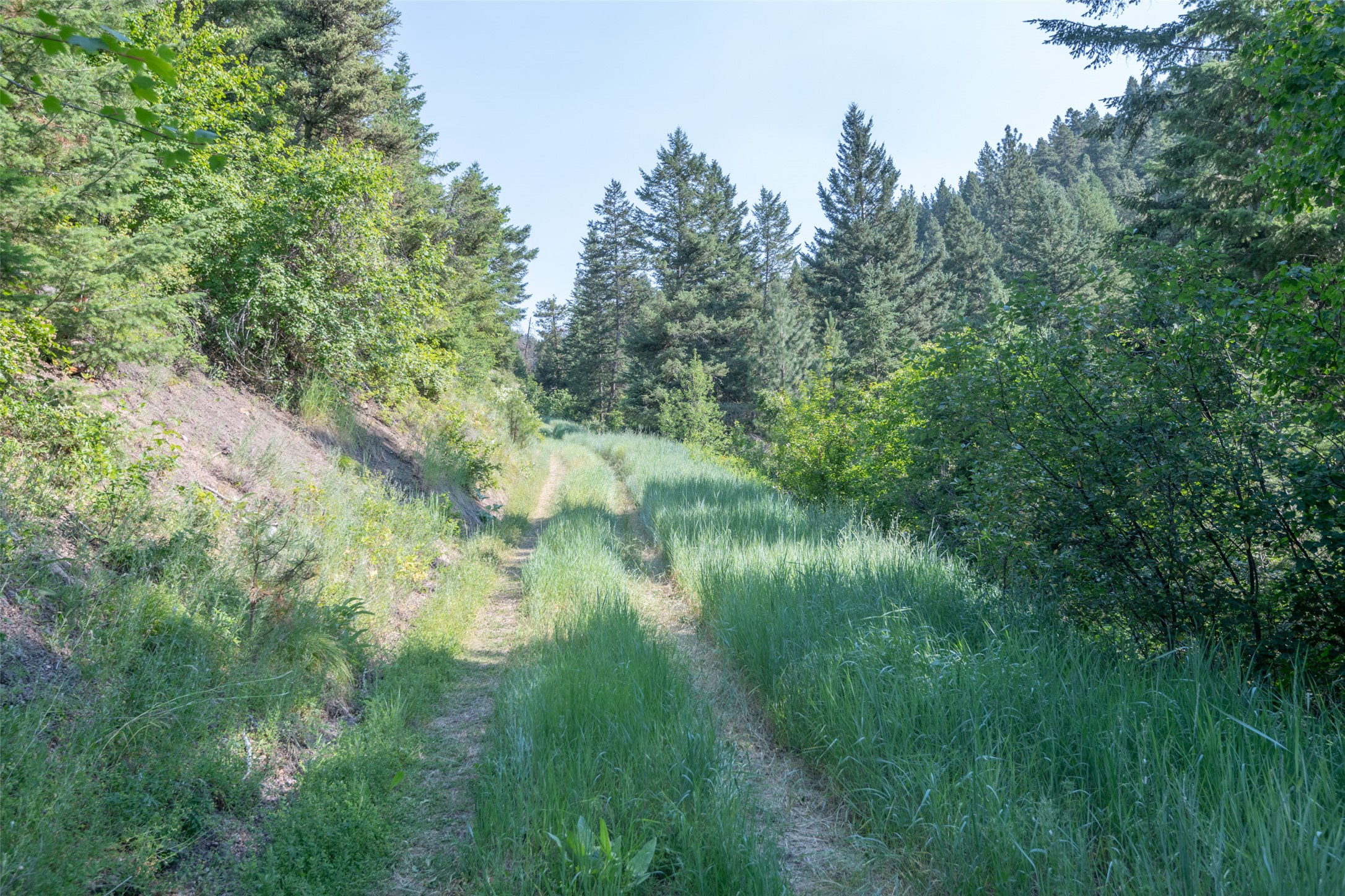 18866 Copper Ridge Trail Property Photo 111