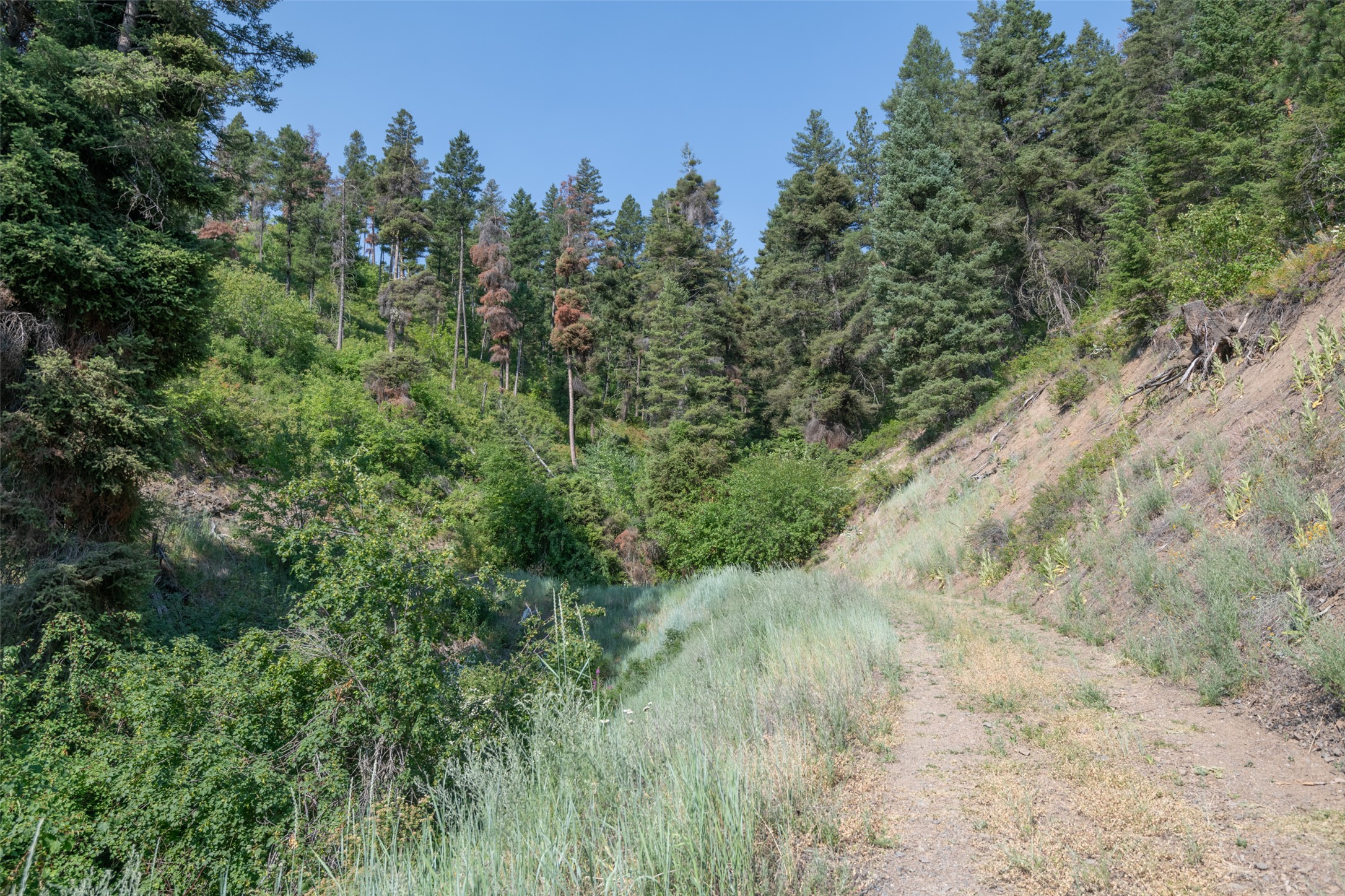 18866 Copper Ridge Trail Property Photo 112