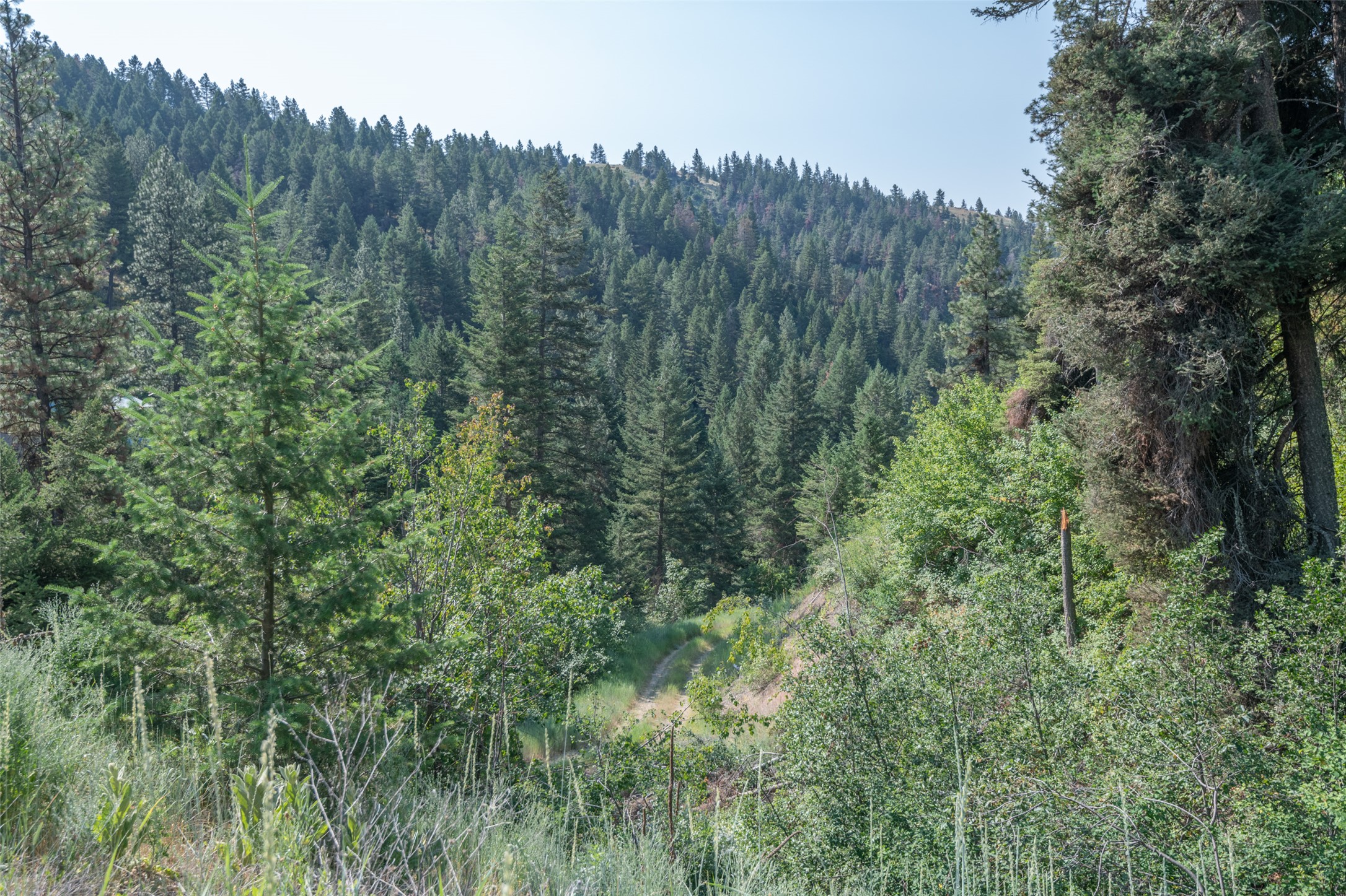 18866 Copper Ridge Trail Property Photo 113