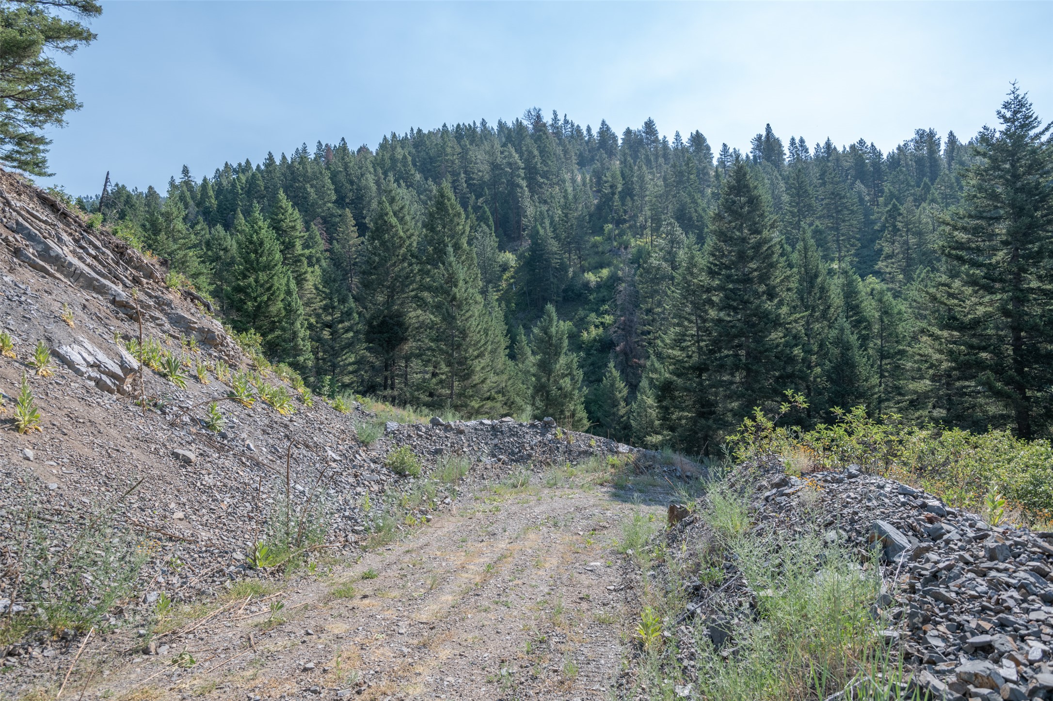 18866 Copper Ridge Trail Property Photo 114