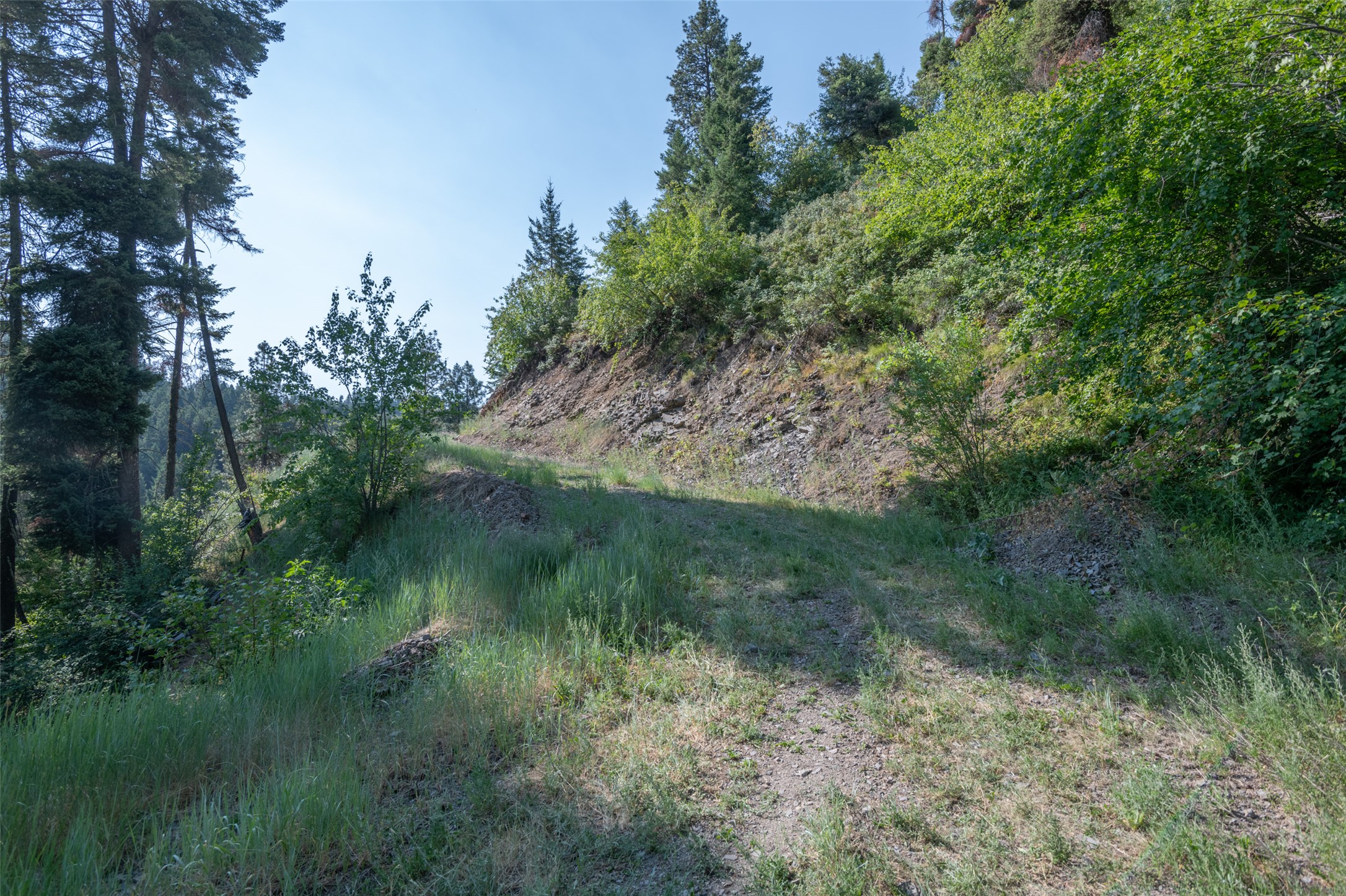 18866 Copper Ridge Trail Property Photo 115
