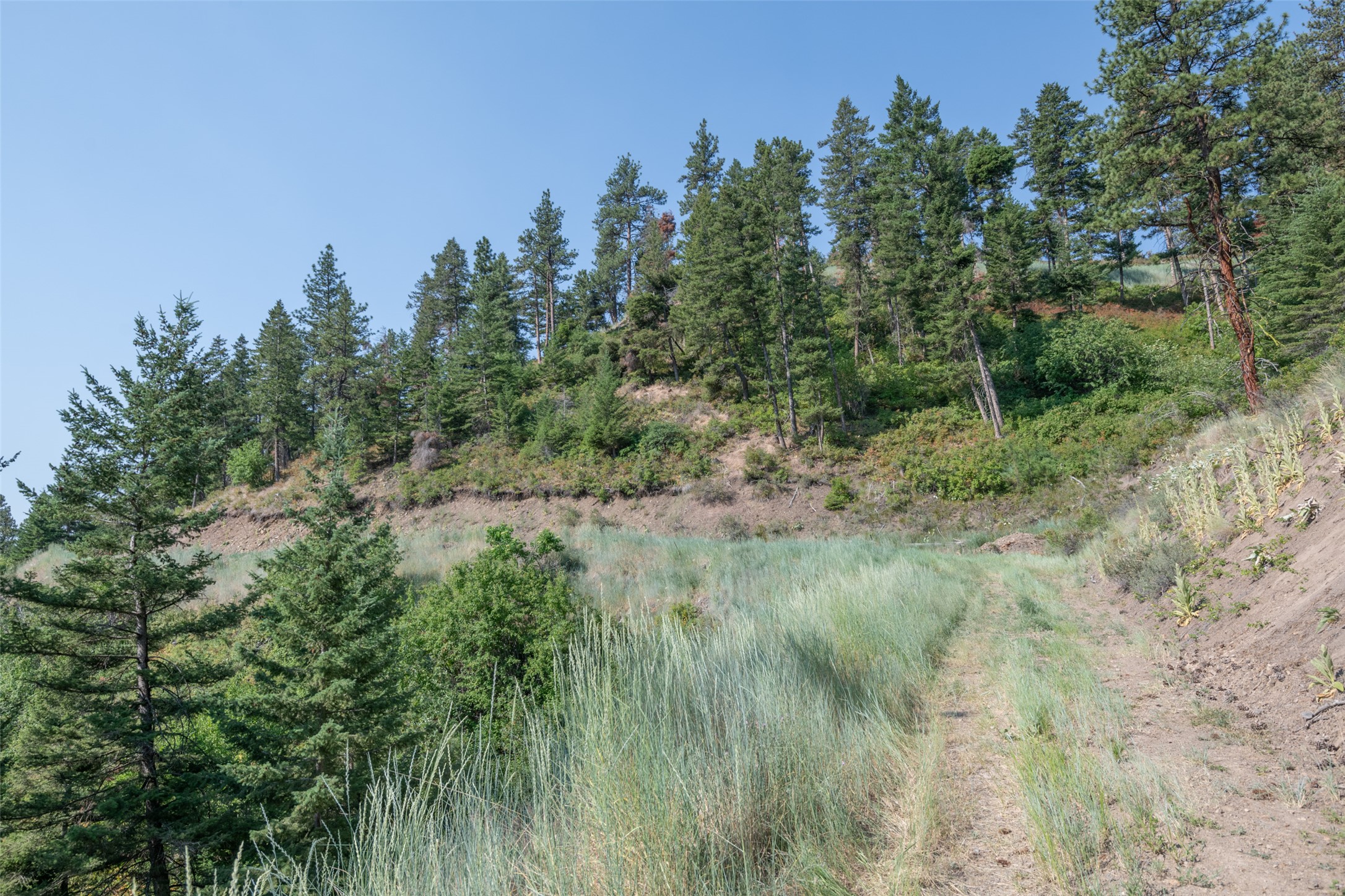 18866 Copper Ridge Trail Property Photo 116