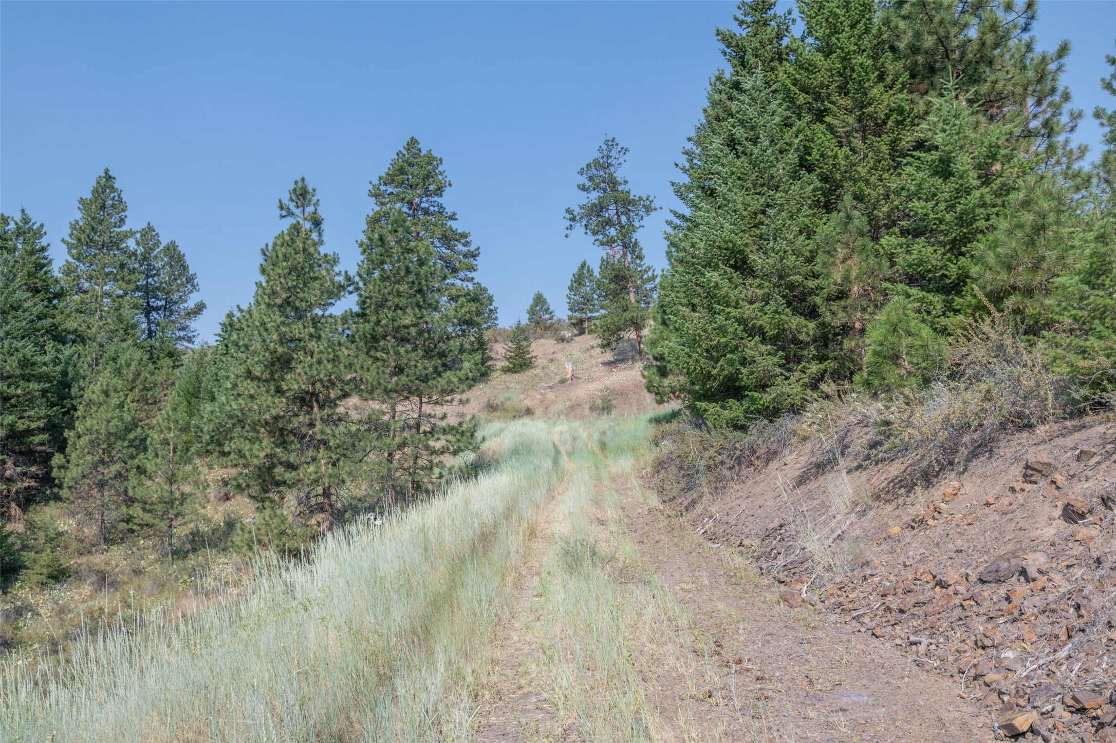 18866 Copper Ridge Trail Property Photo 117