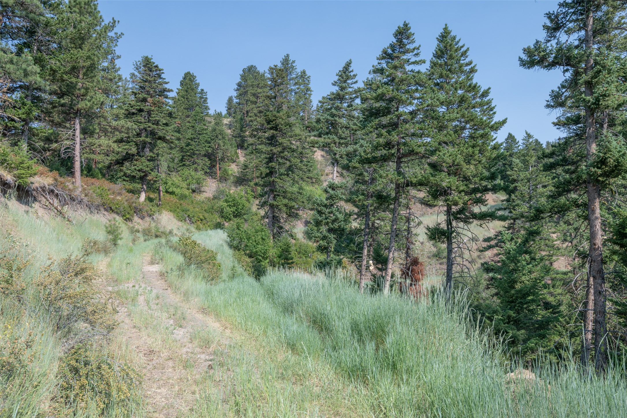 18866 Copper Ridge Trail Property Photo 118