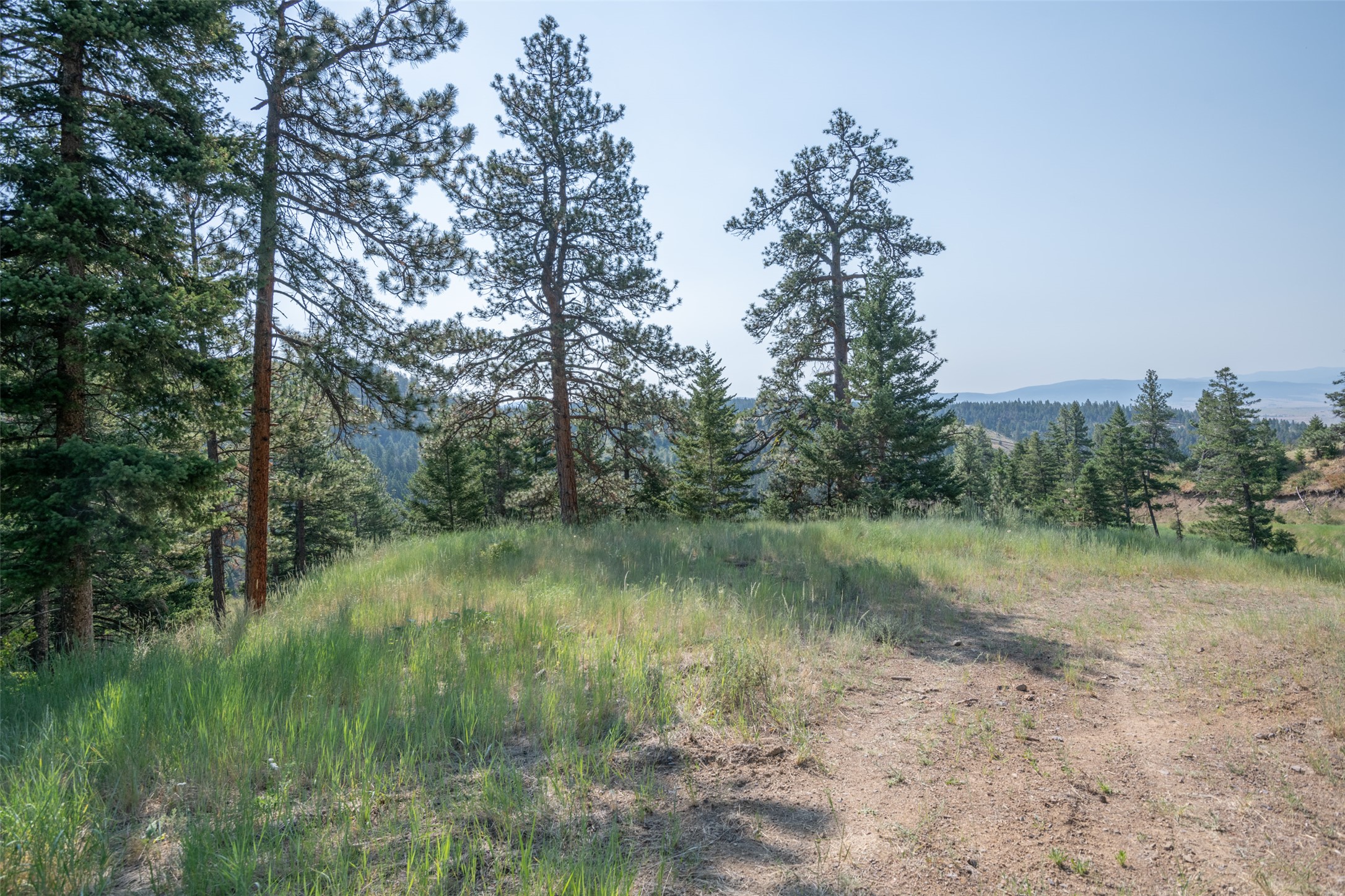 18866 Copper Ridge Trail Property Photo 120