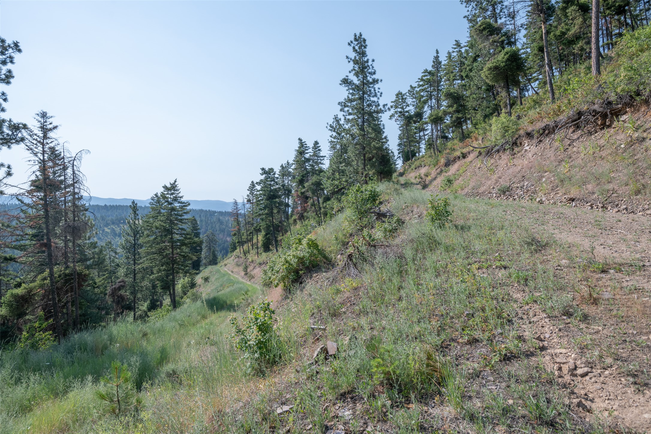 18866 Copper Ridge Trail Property Photo 121