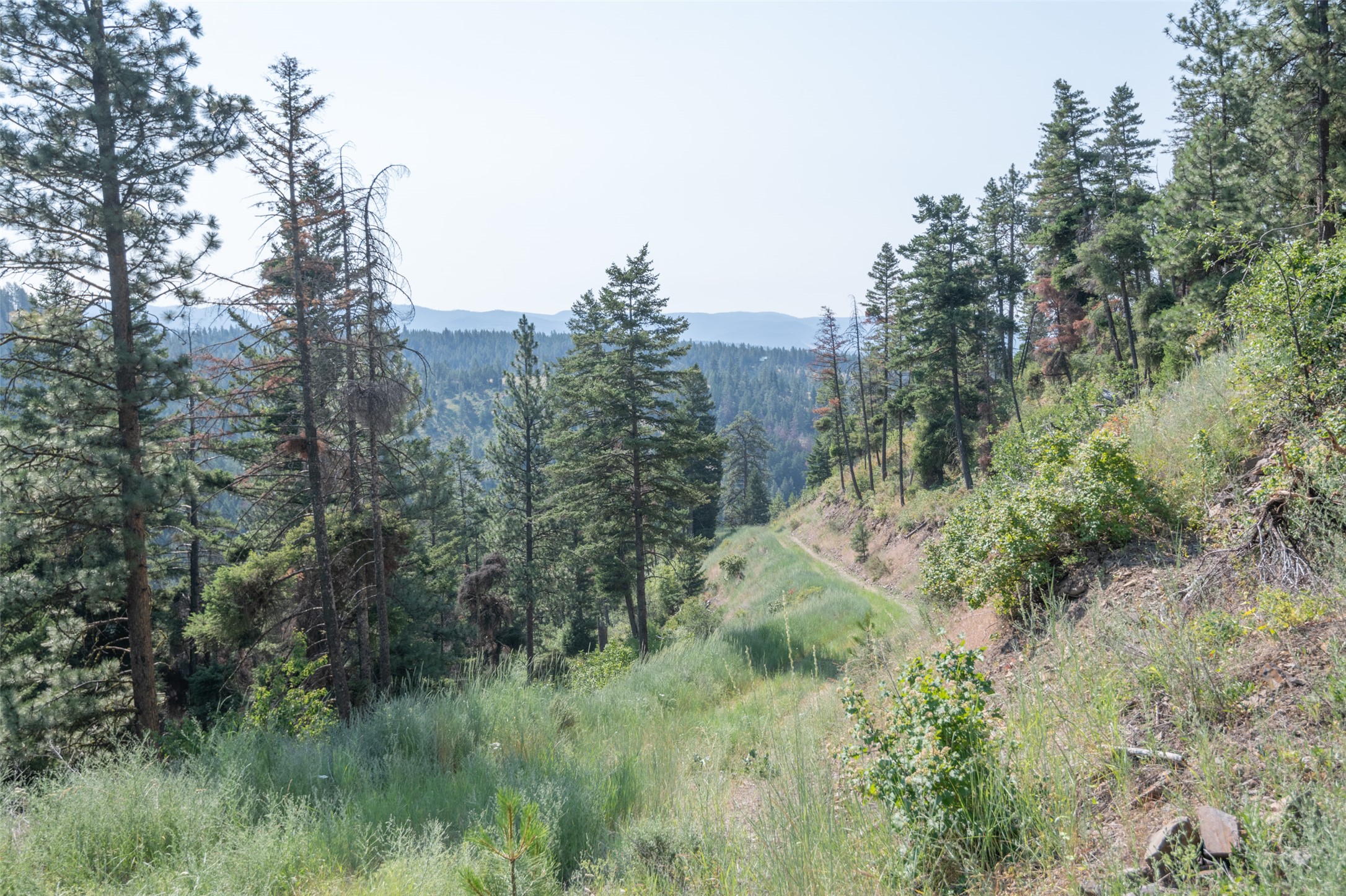 18866 Copper Ridge Trail Property Photo 122