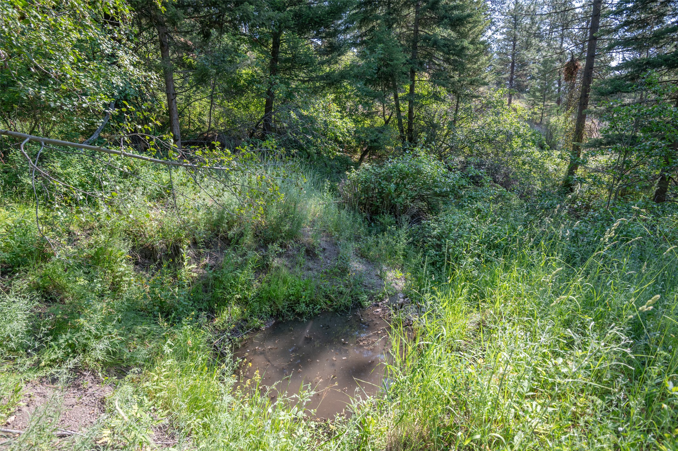 18866 Copper Ridge Trail Property Photo 123