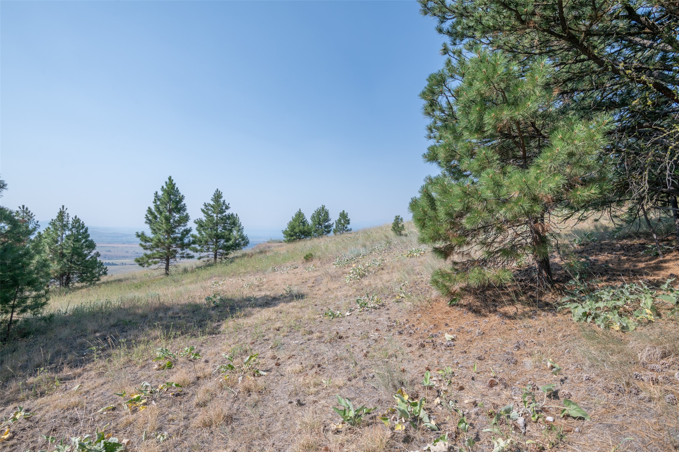 18866 Copper Ridge Trail Property Photo 125