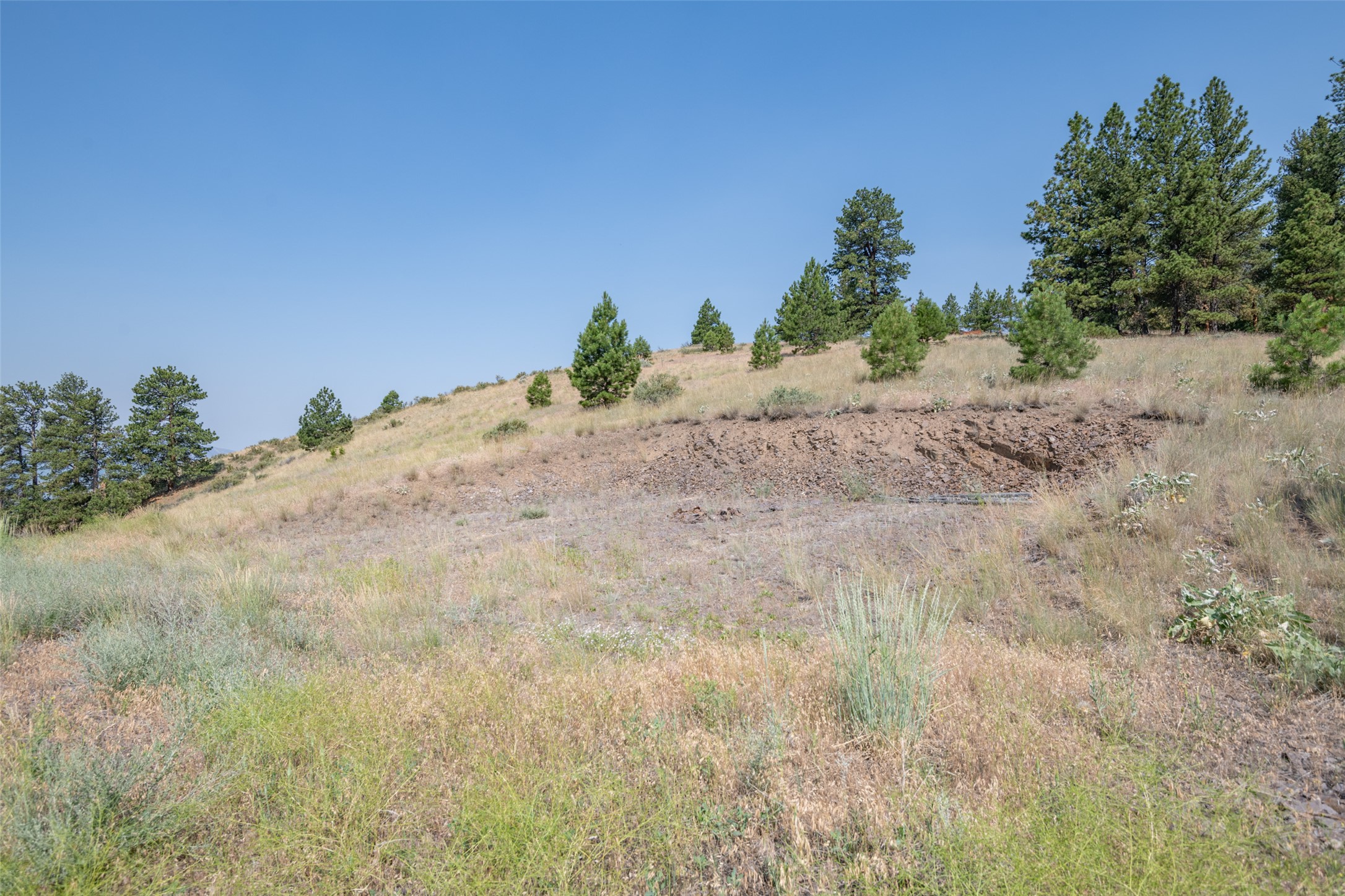 18866 Copper Ridge Trail Property Photo 130