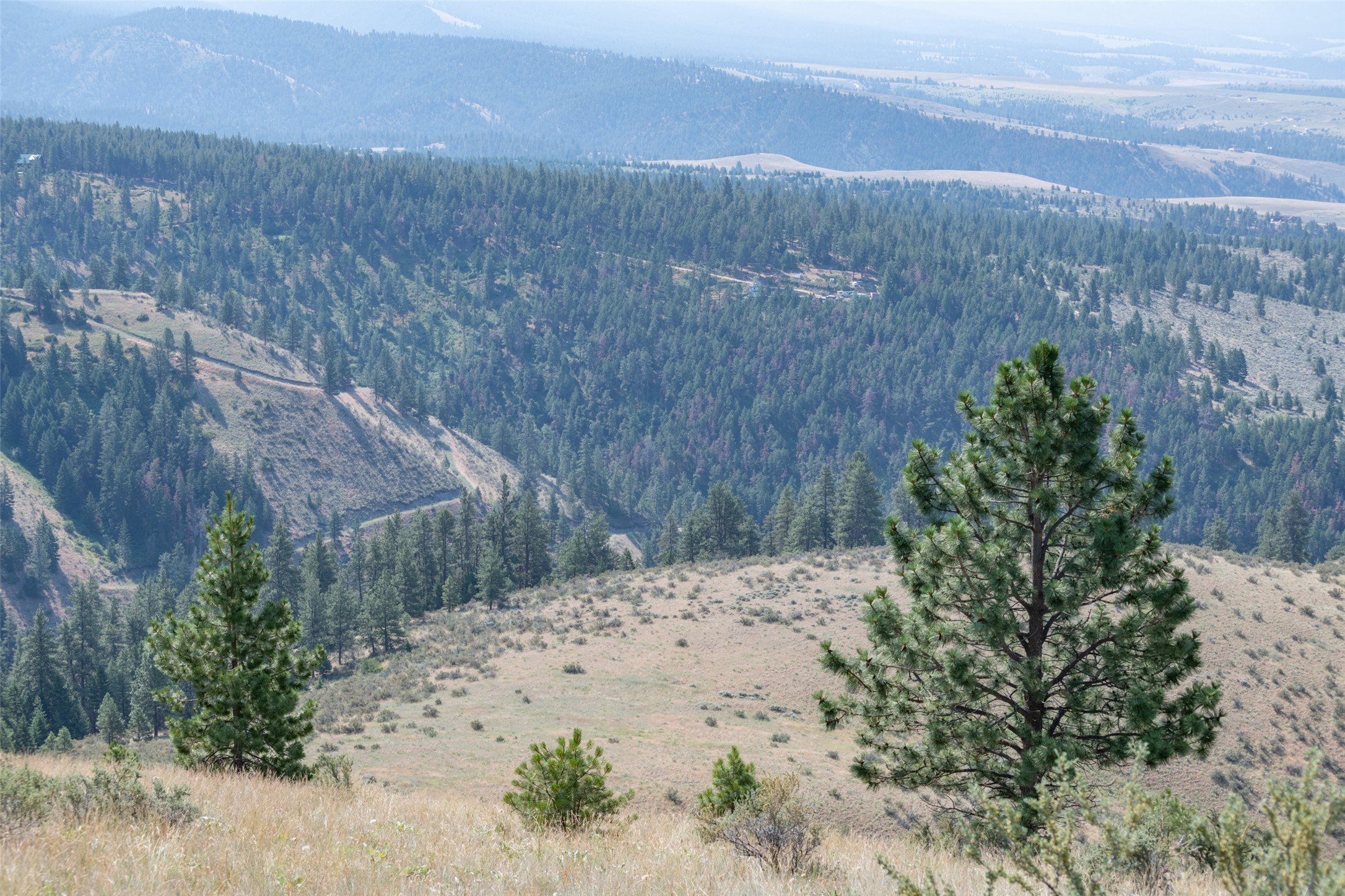 18866 Copper Ridge Trail Property Photo 134
