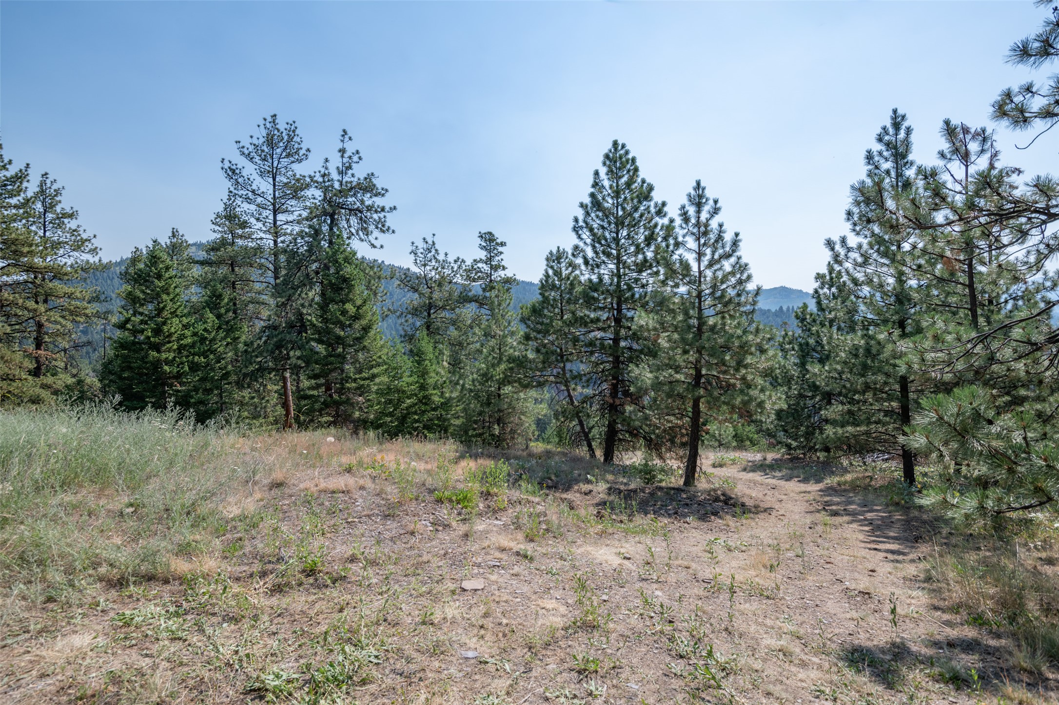 18866 Copper Ridge Trail Property Photo 137