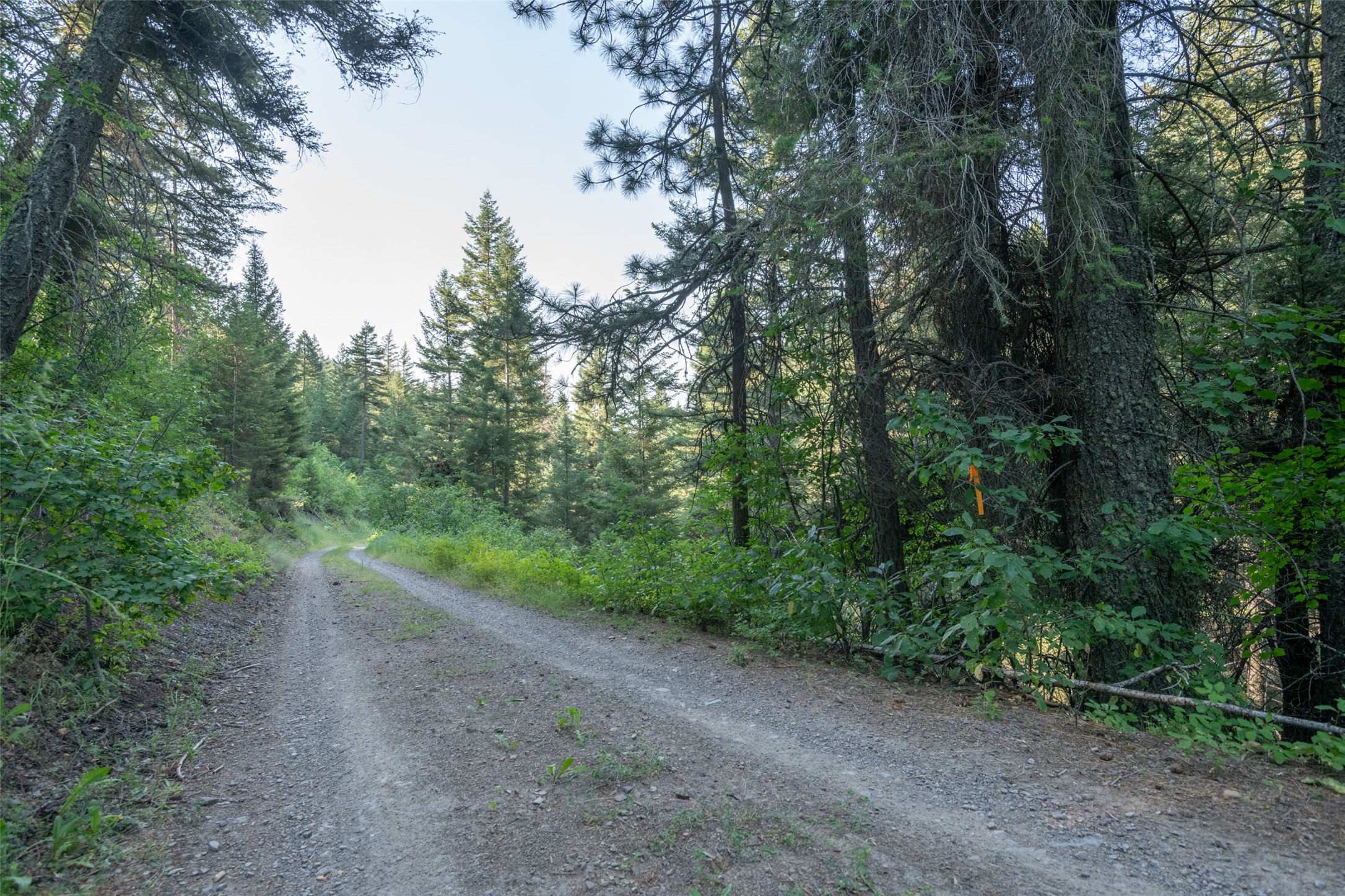 18866 Copper Ridge Trail Property Photo 138