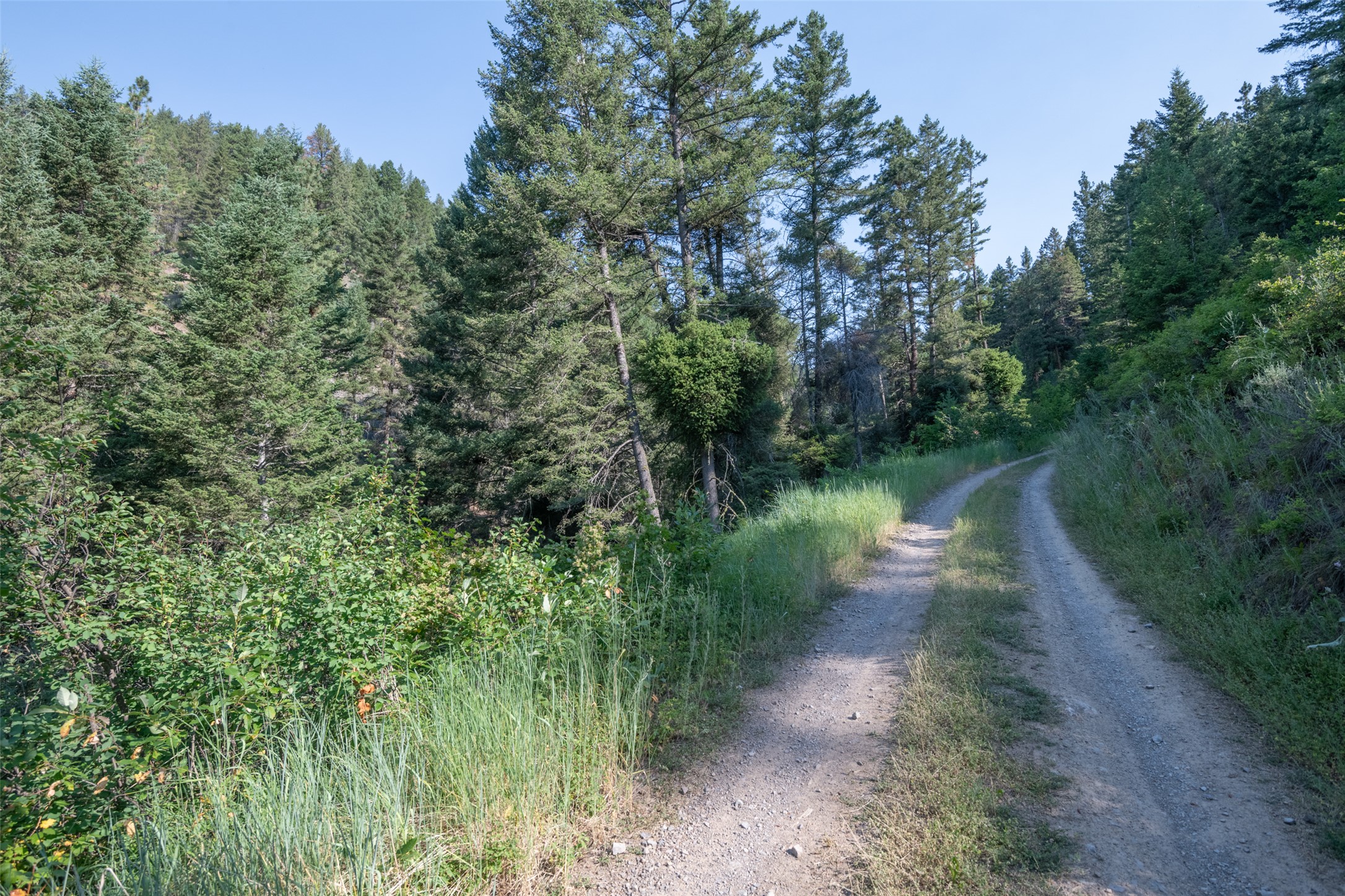 18866 Copper Ridge Trail Property Photo 139
